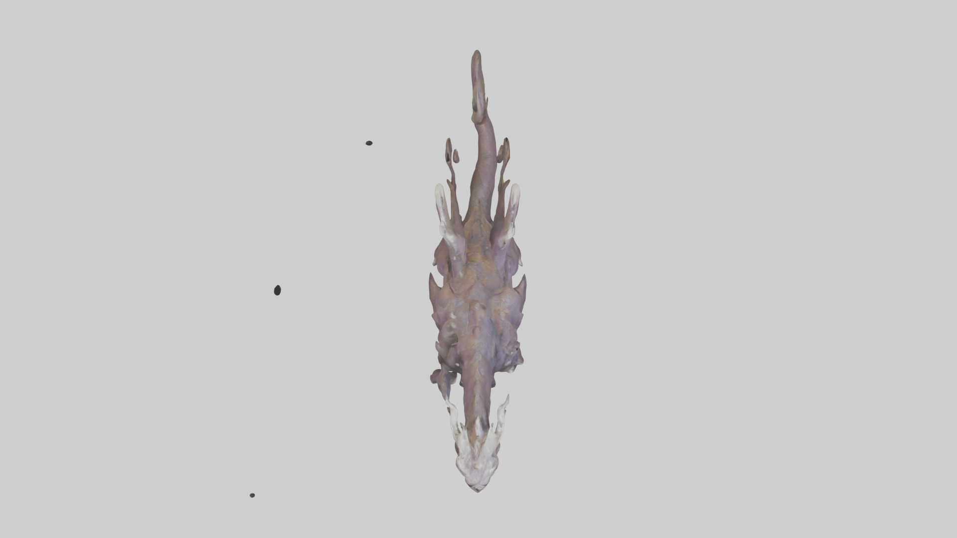Elemental Beast model 3D model_14