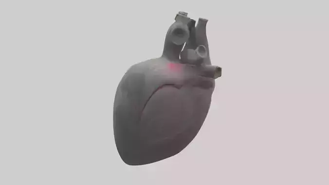 Elephant Heart