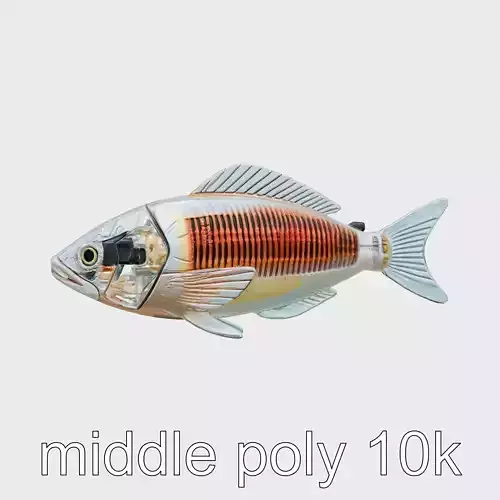 Bioluminescent Fish-Shaped Starship Transparent Hull