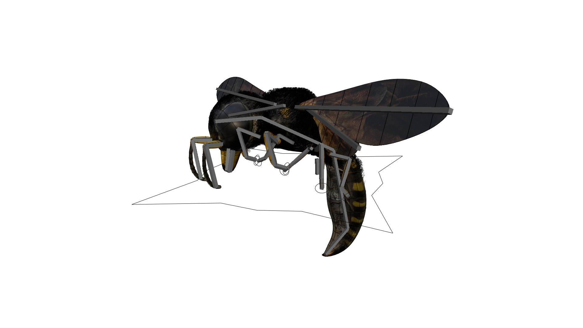 Realistic Insect 3D Model Rigged Textured PBR 4K Resolution Low-poly 3D model_6