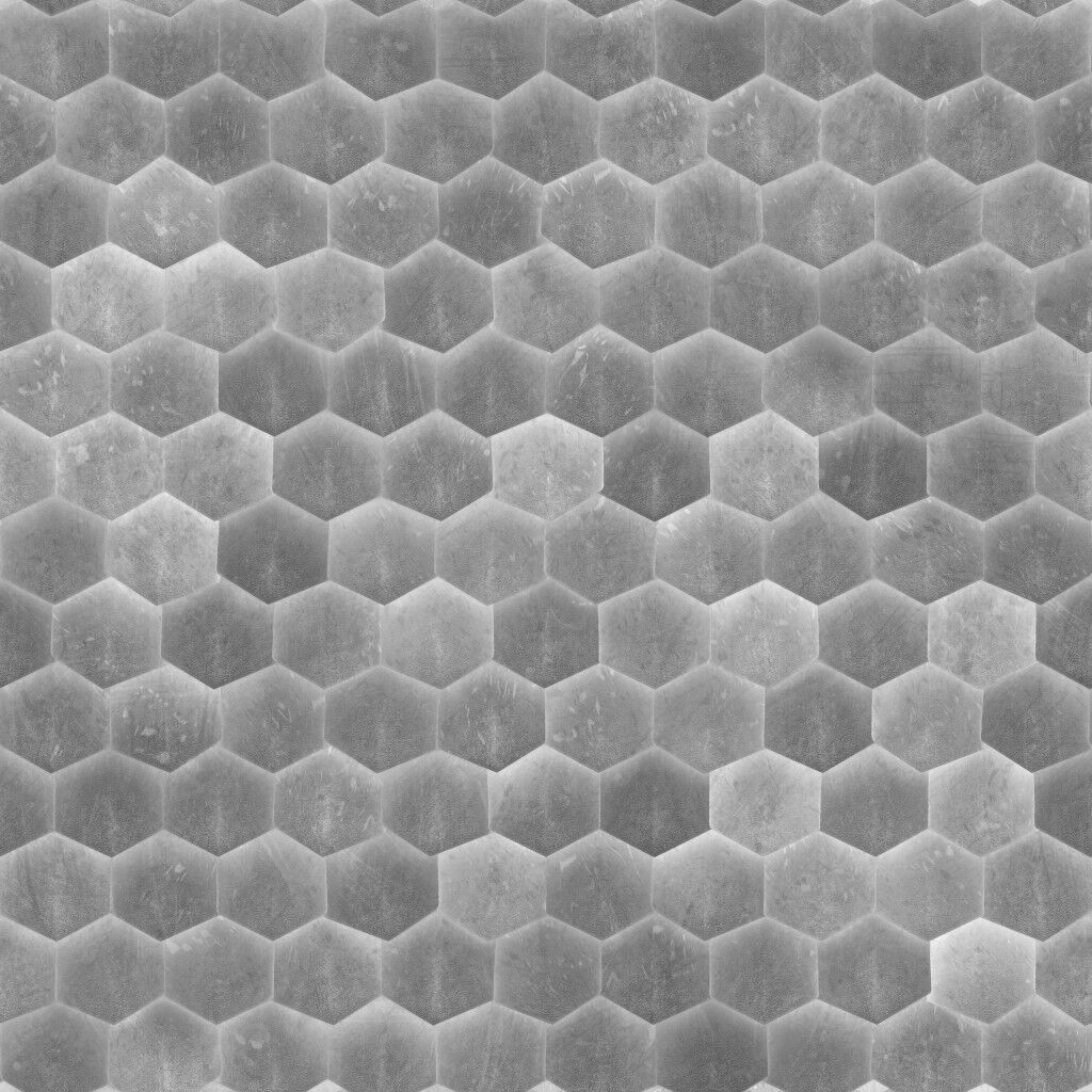 Realistic Insect 3D Model Rigged Textured PBR 4K Resolution Low-poly 3D model_8