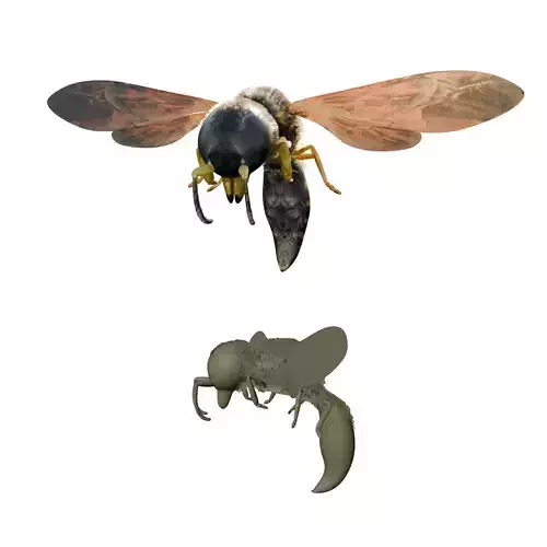 Realistic Insect 3D Model Rigged Textured PBR 4K Resolution Low-poly 3D model Realistic Insect 3D Model Rigged Textured PBR 4K Resolution Low-poly 3D model