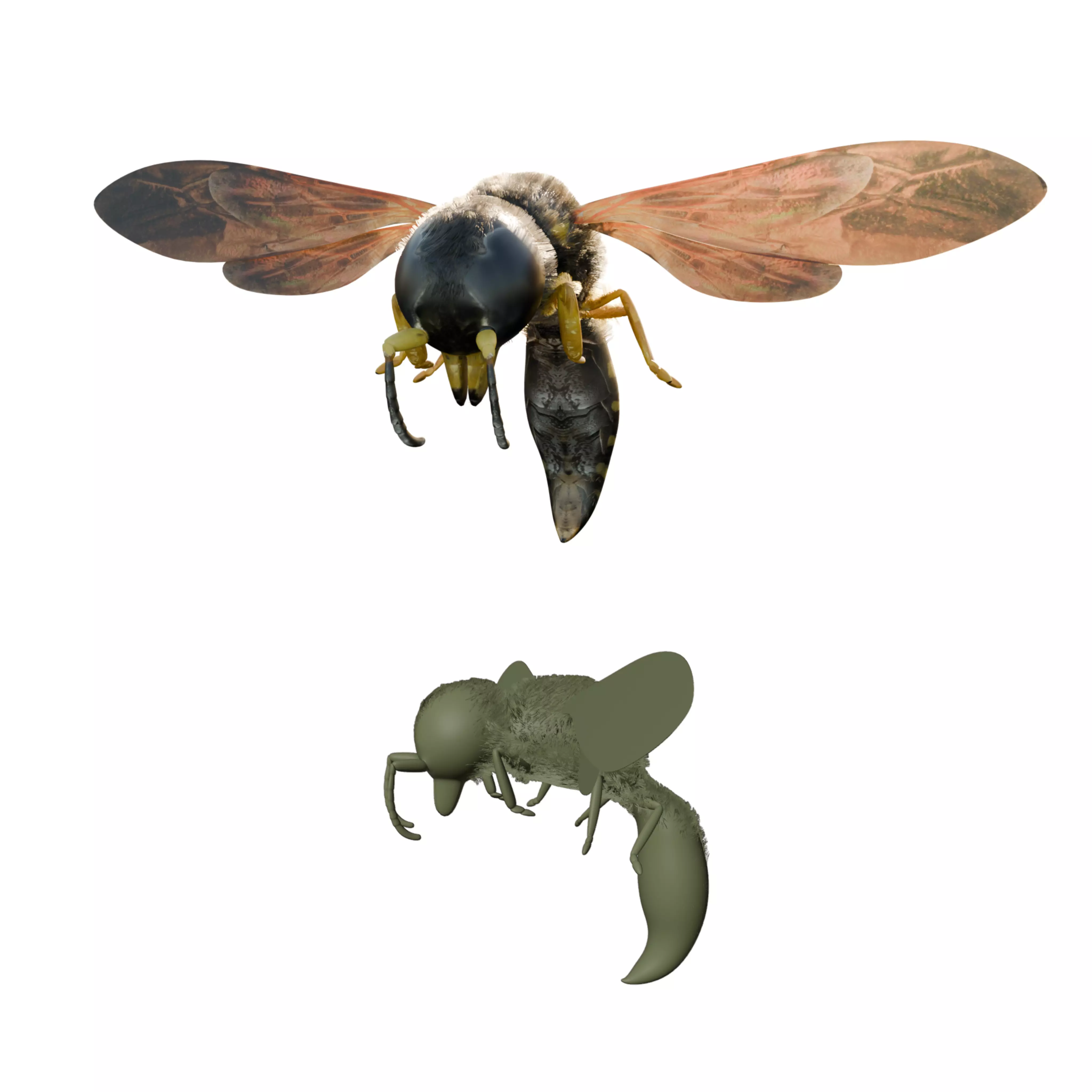 Realistic Insect 3D Model Rigged Textured PBR 4K Resolution Low-poly 3D model_0