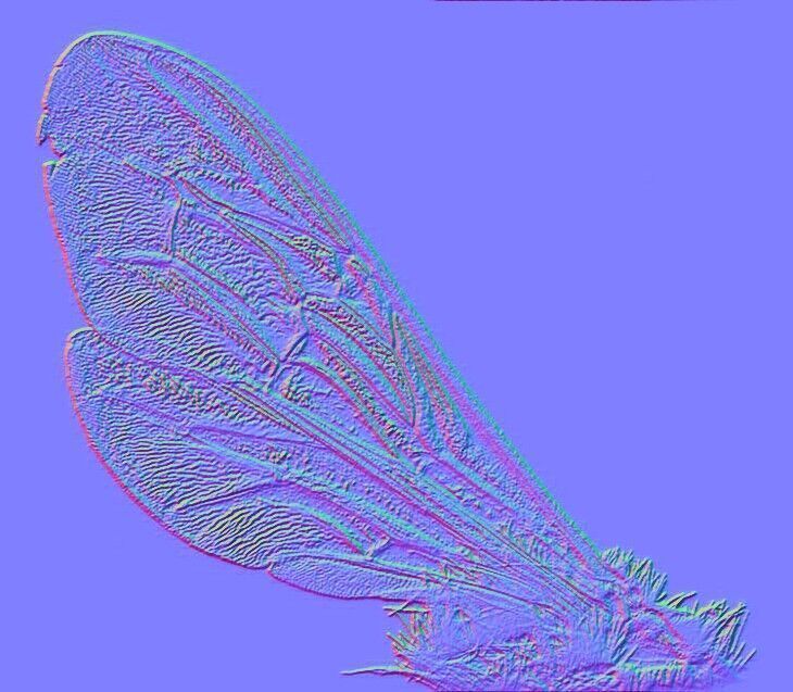 Realistic Insect 3D Model Rigged Textured PBR 4K Resolution Low-poly 3D model_9