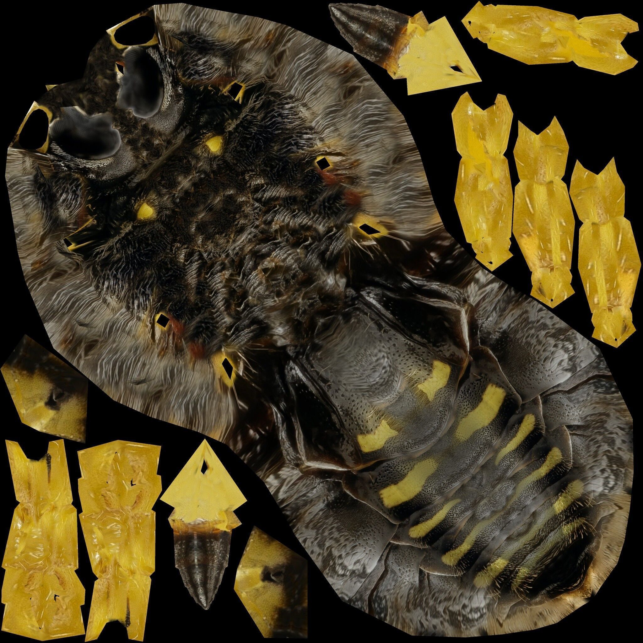 Realistic Insect 3D Model Rigged Textured PBR 4K Resolution Low-poly 3D model_12