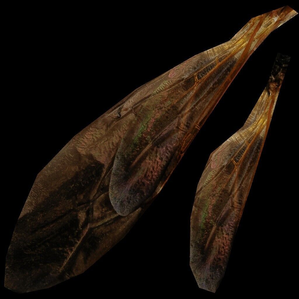 Realistic Insect 3D Model Rigged Textured PBR 4K Resolution Low-poly 3D model_13