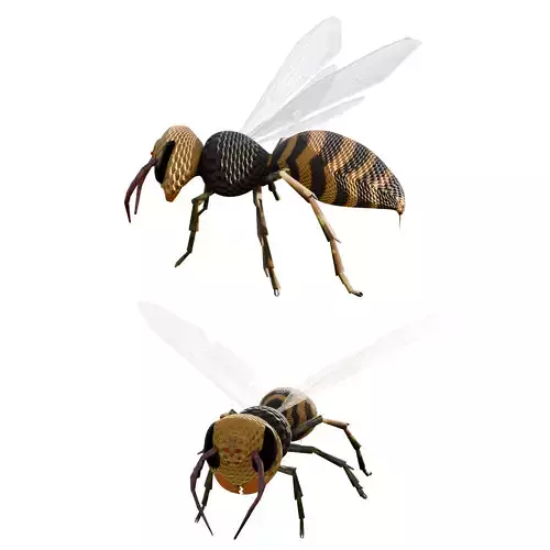 Realistic Insect 3D Model Rigged Textured PBR 4K Resolution Low-poly 3D model