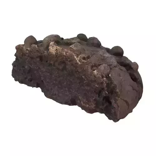 Half Of Brown Cookie 3D model