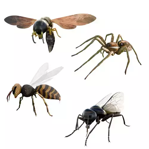 Realistic Insect 3D Model Rigged Textured PBR 4K Resolution 