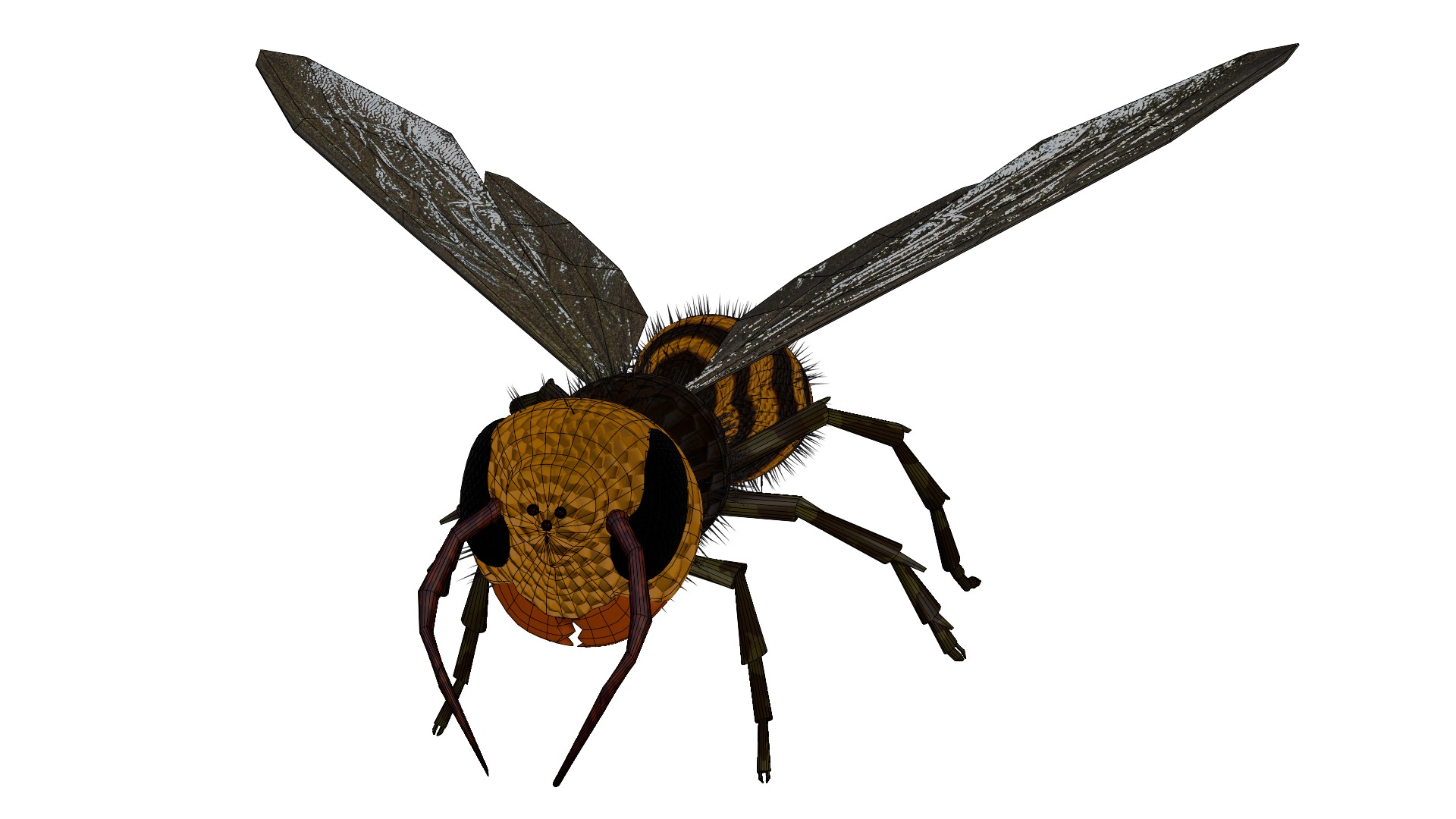 Realistic Insect 3D Model Rigged Textured PBR 4K Resolution 3D Model Collection_19