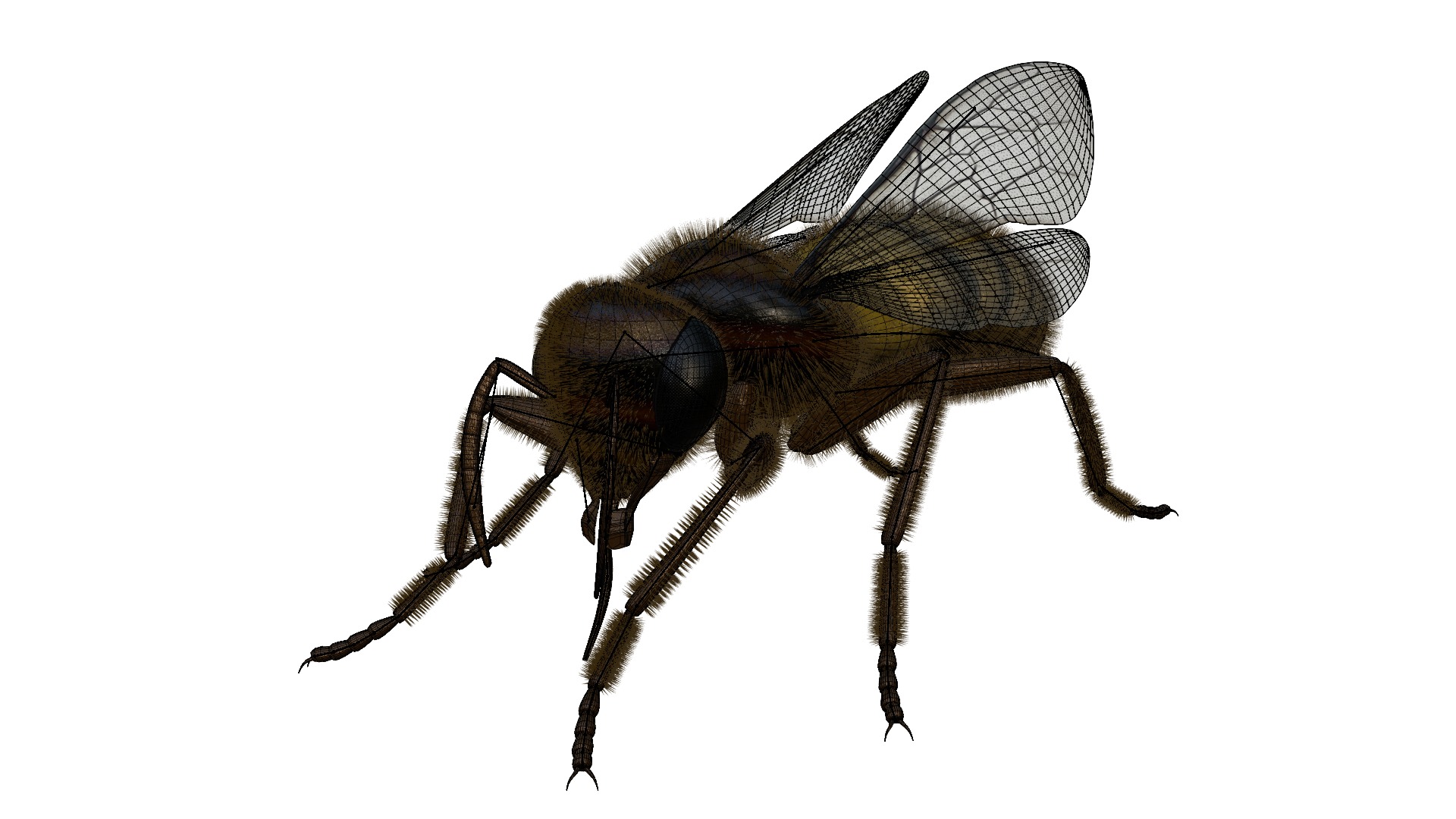 Realistic Insect 3D Model Rigged Textured PBR 4K Resolution 3D Model Collection_31