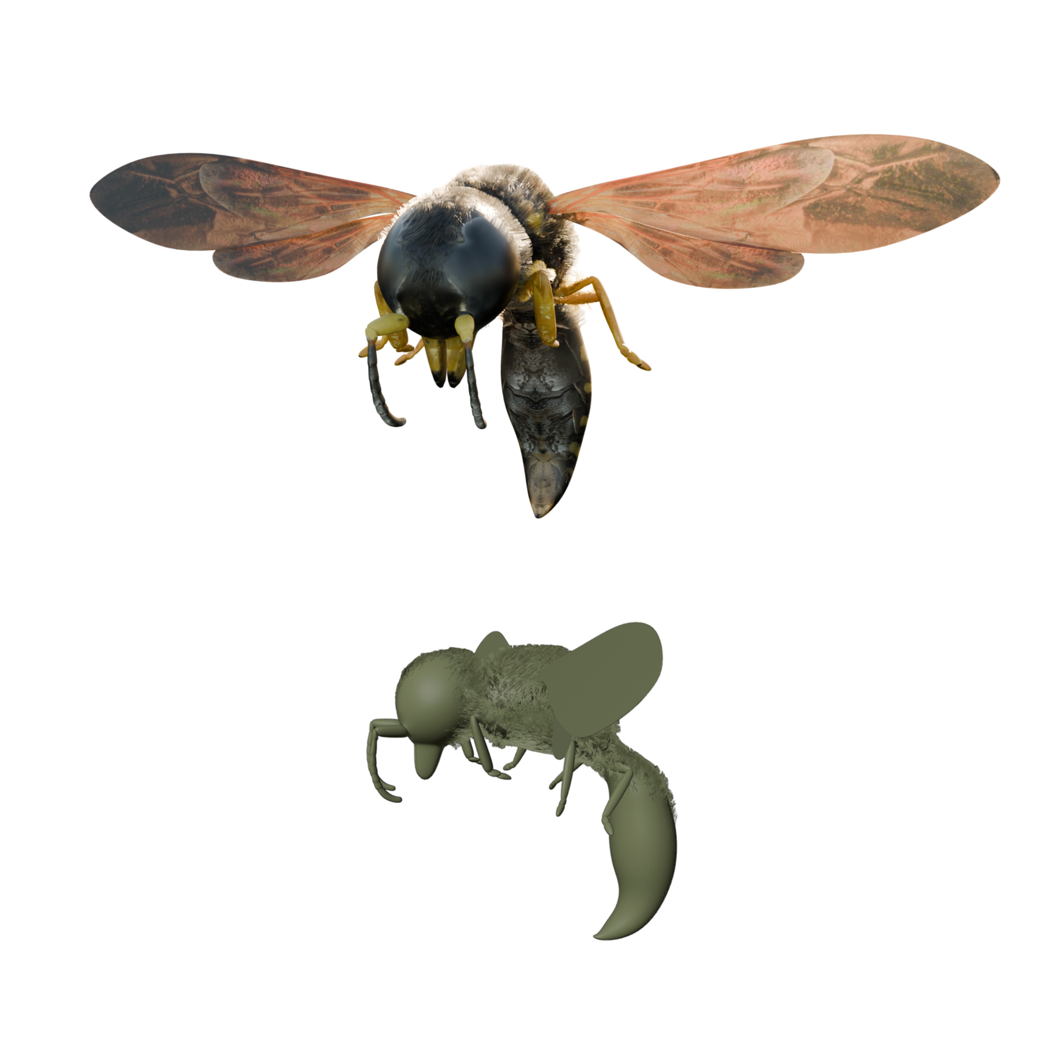 Realistic Insect 3D Model Rigged Textured PBR 4K Resolution 3D Model Collection_7