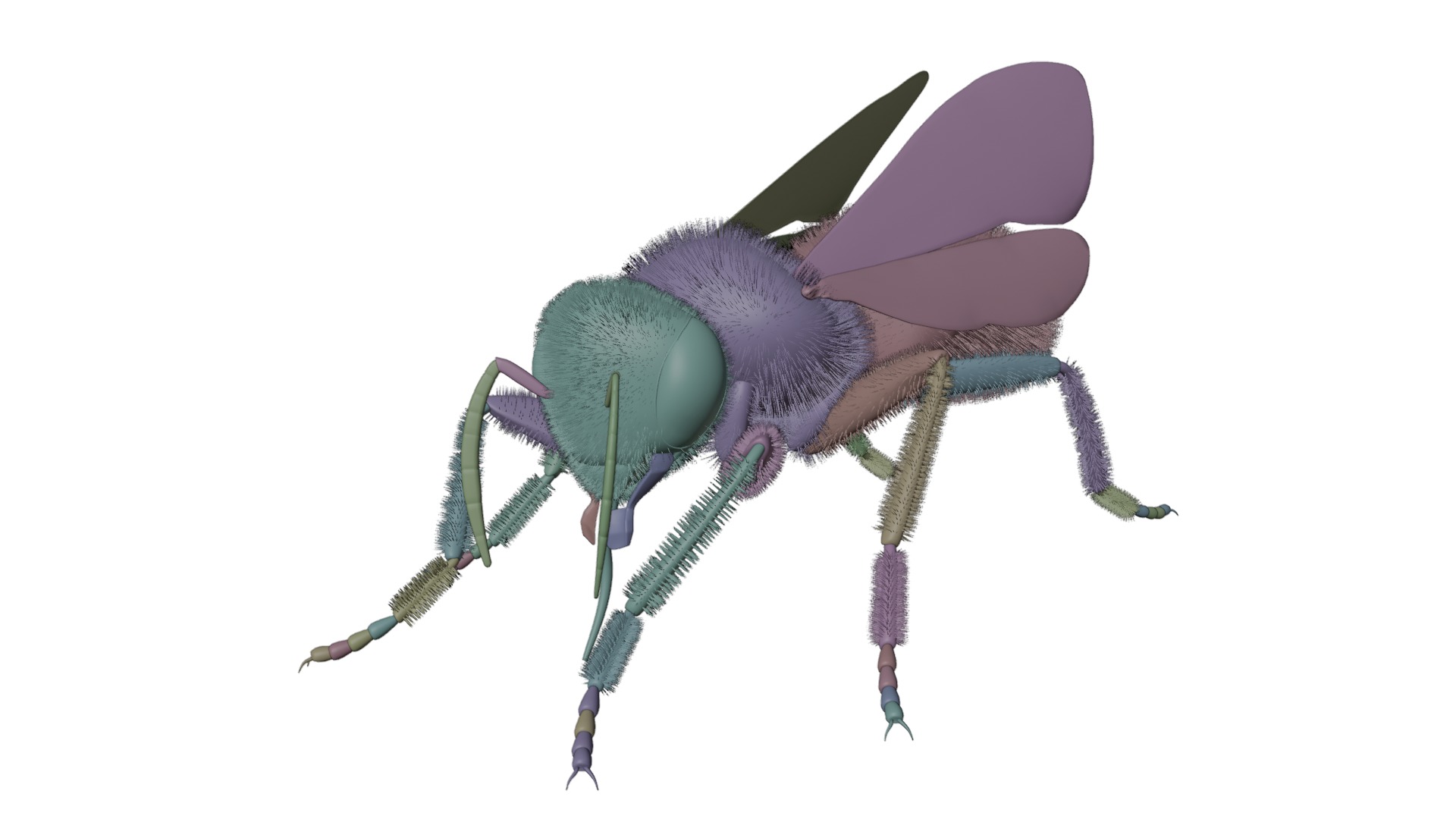 Realistic Insect 3D Model Rigged Textured PBR 4K Resolution 3D Model Collection_4