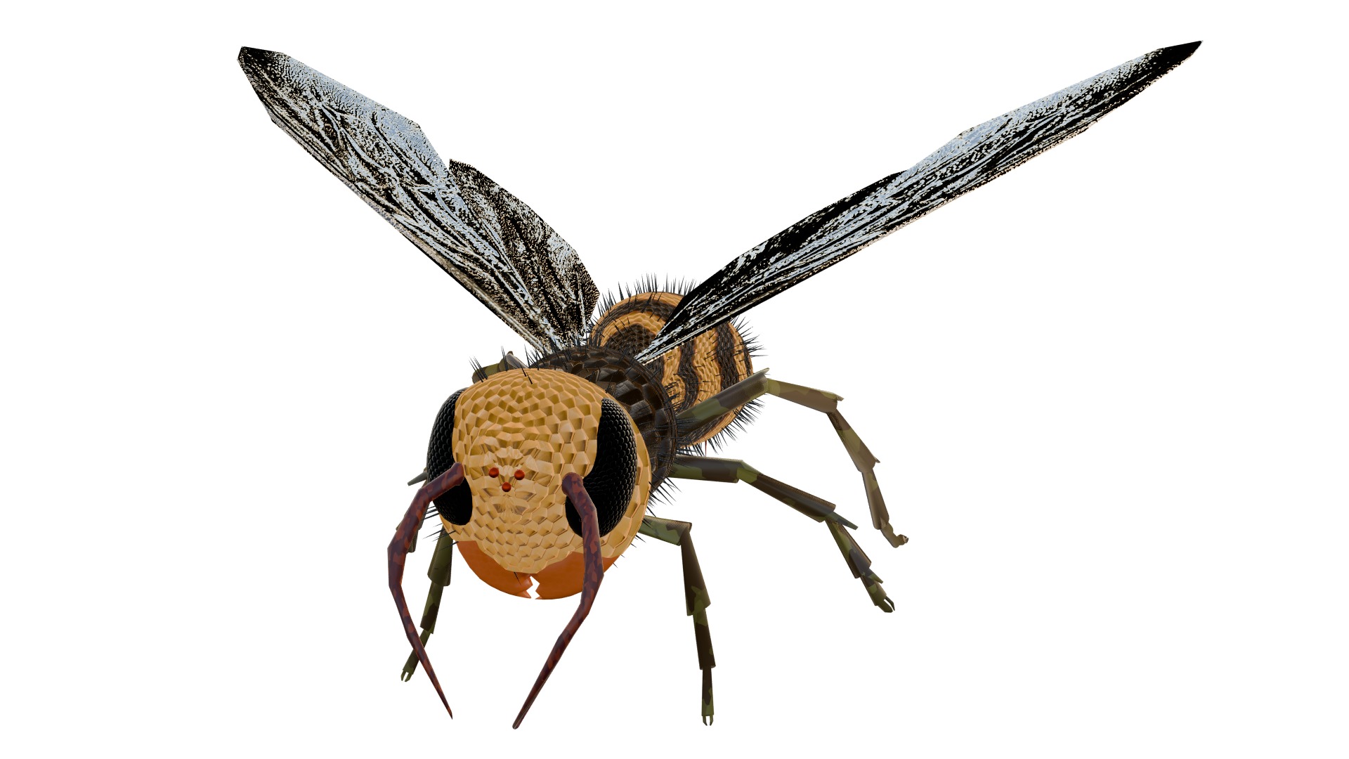 Realistic Insect 3D Model Rigged Textured PBR 4K Resolution 3D Model Collection_16