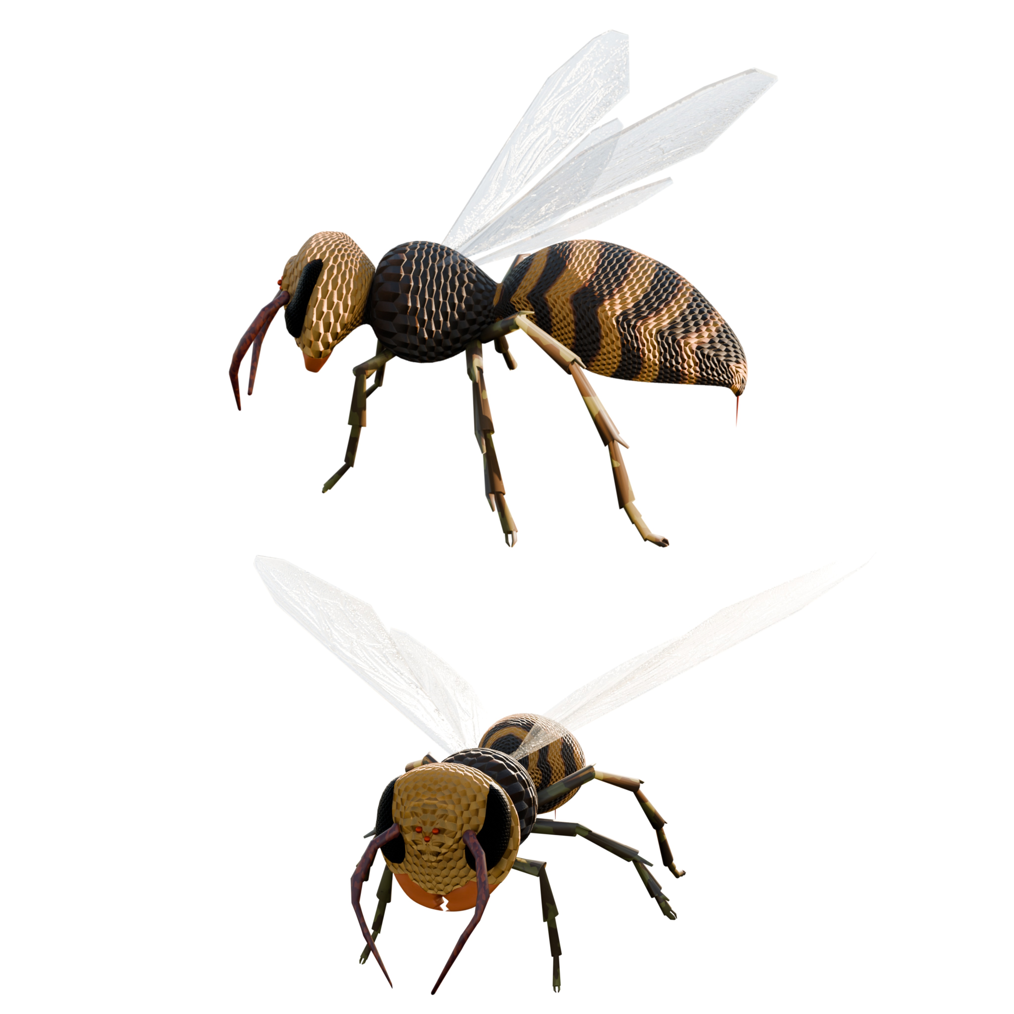 Realistic Insect 3D Model Rigged Textured PBR 4K Resolution 3D Model Collection_6