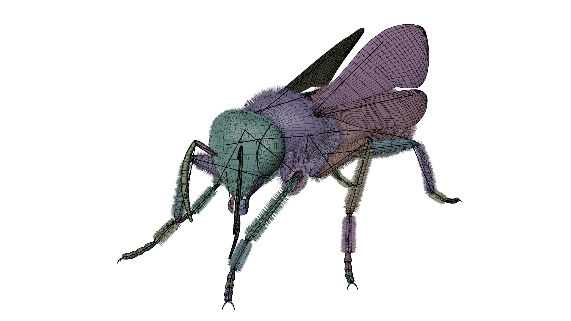 Realistic Insect 3D Model Rigged Textured PBR 4K Resolution 3D Model Collection_5