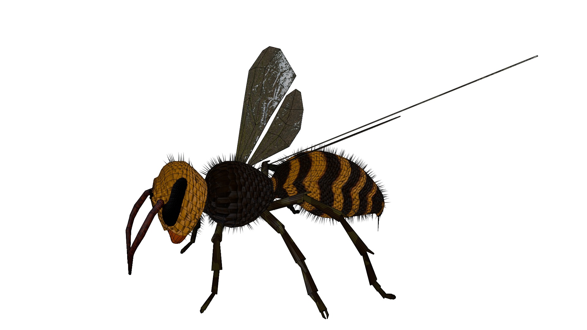 Realistic Insect 3D Model Rigged Textured PBR 4K Resolution 3D Model Collection_20