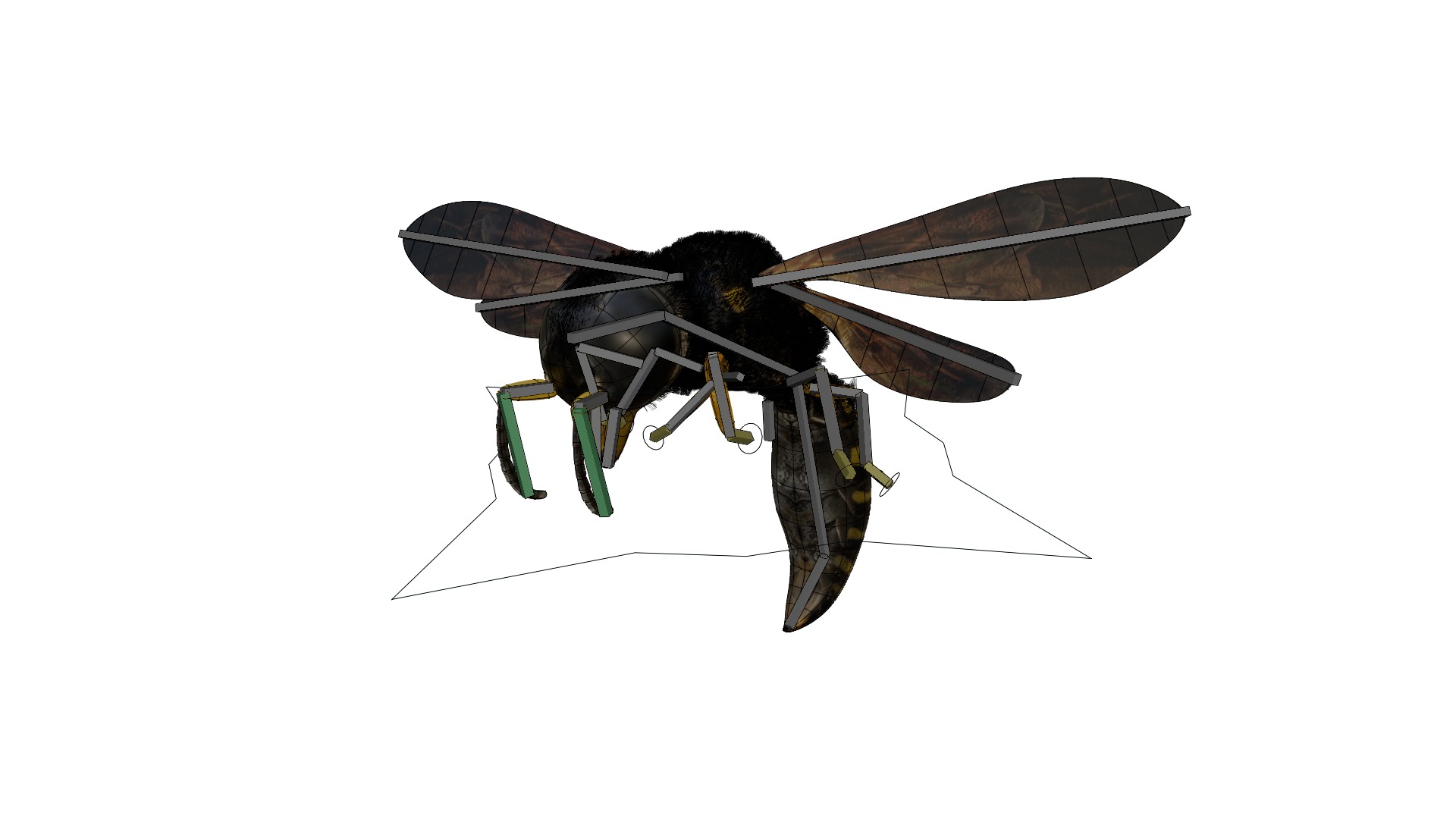 Realistic Insect 3D Model Rigged Textured PBR 4K Resolution 3D Model Collection_14