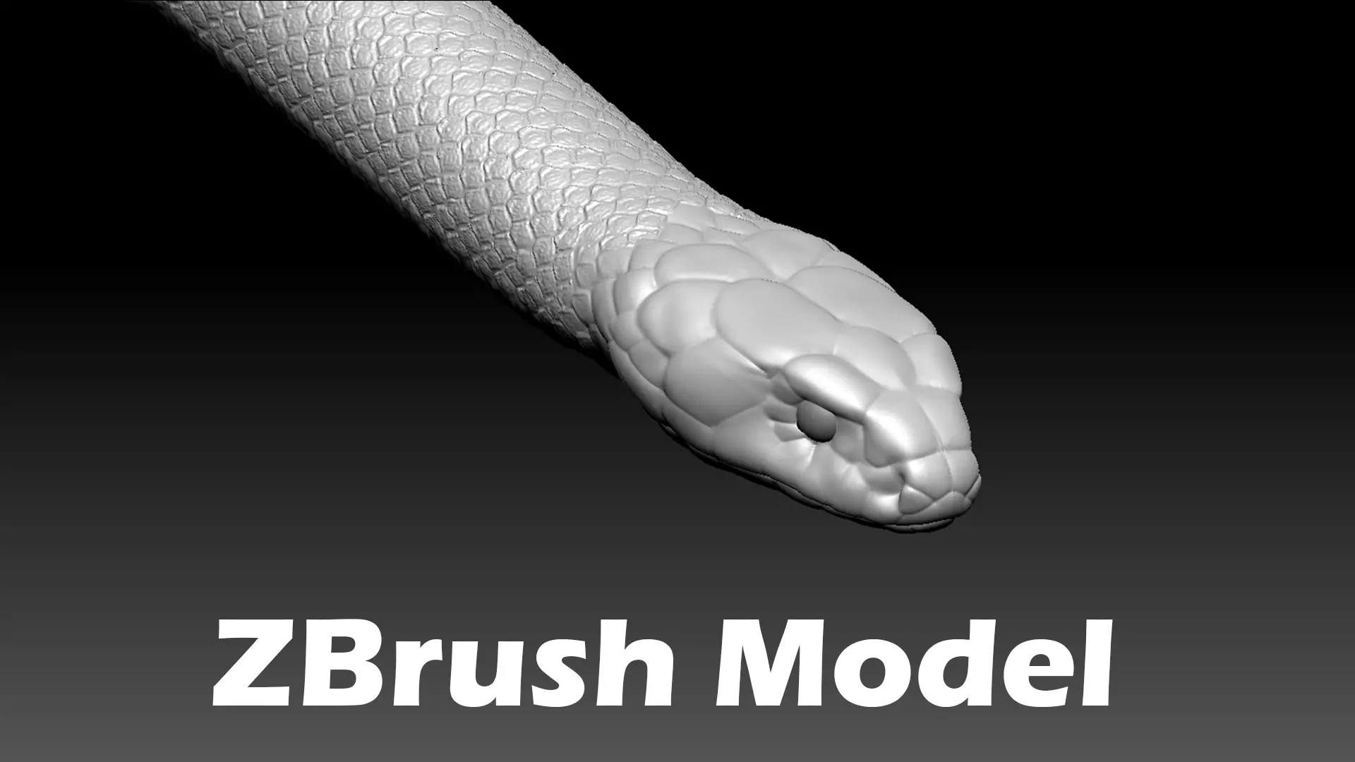 Cobra Zbrush Model 3D model_0