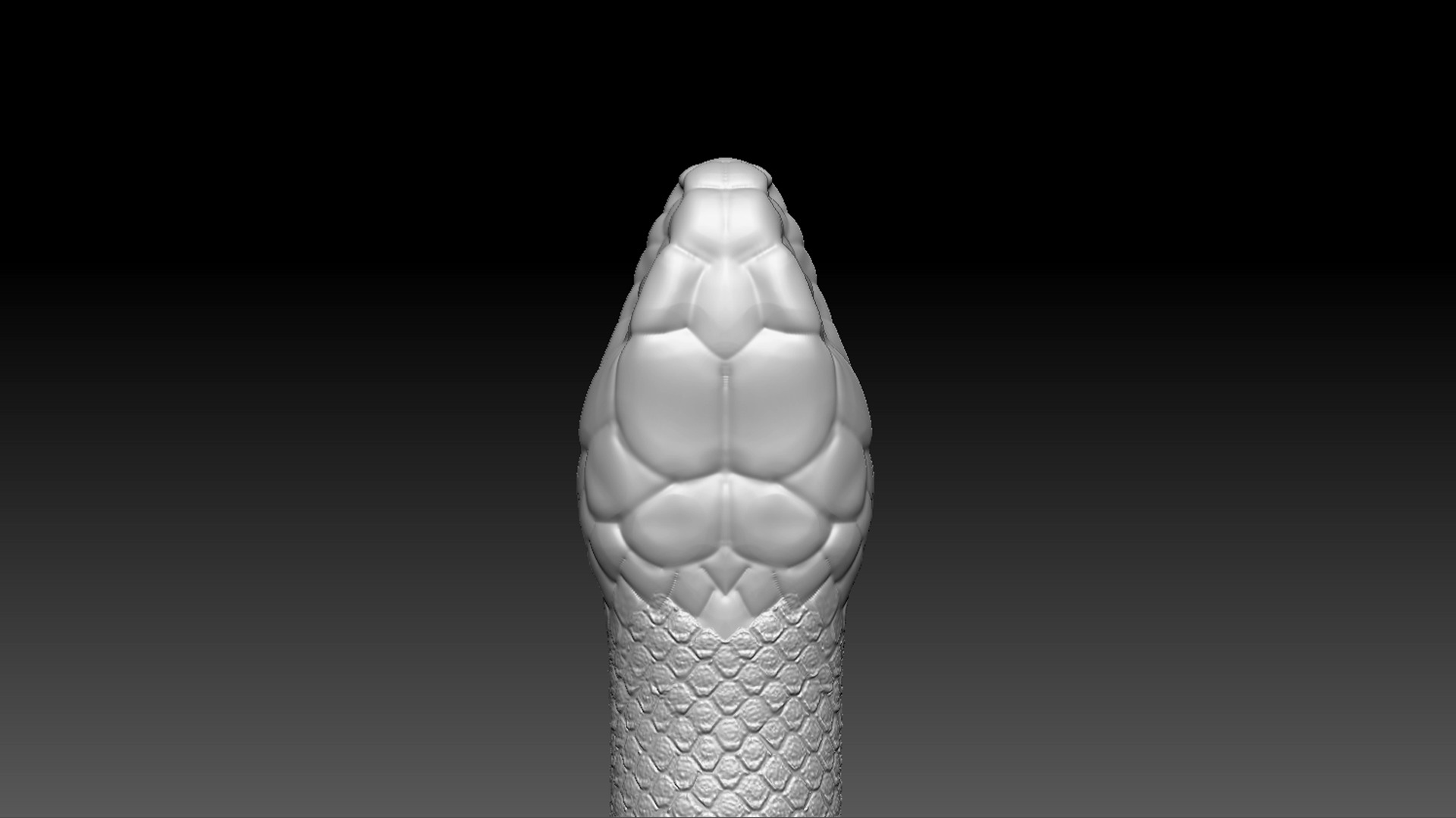 Cobra Zbrush Model 3D model_7