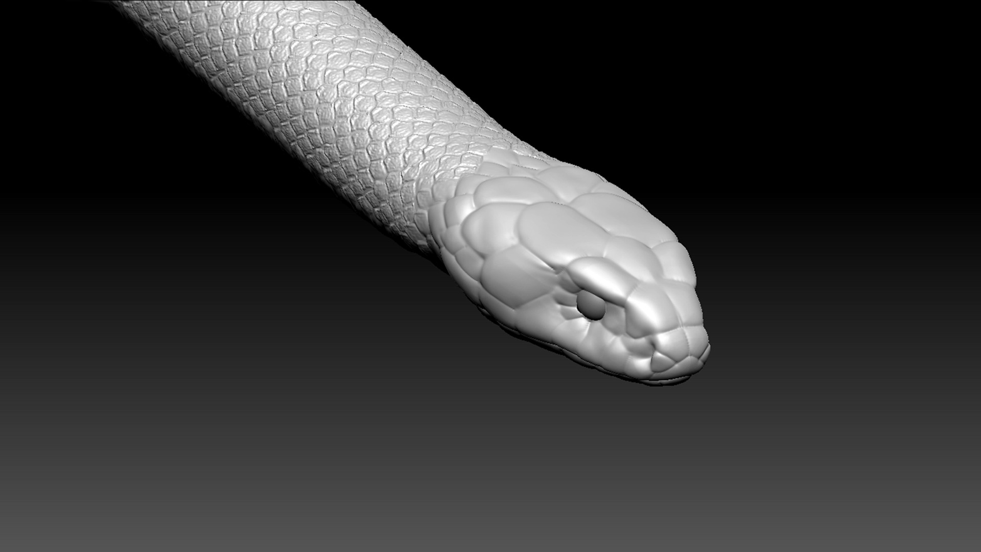 Cobra Zbrush Model 3D model_1