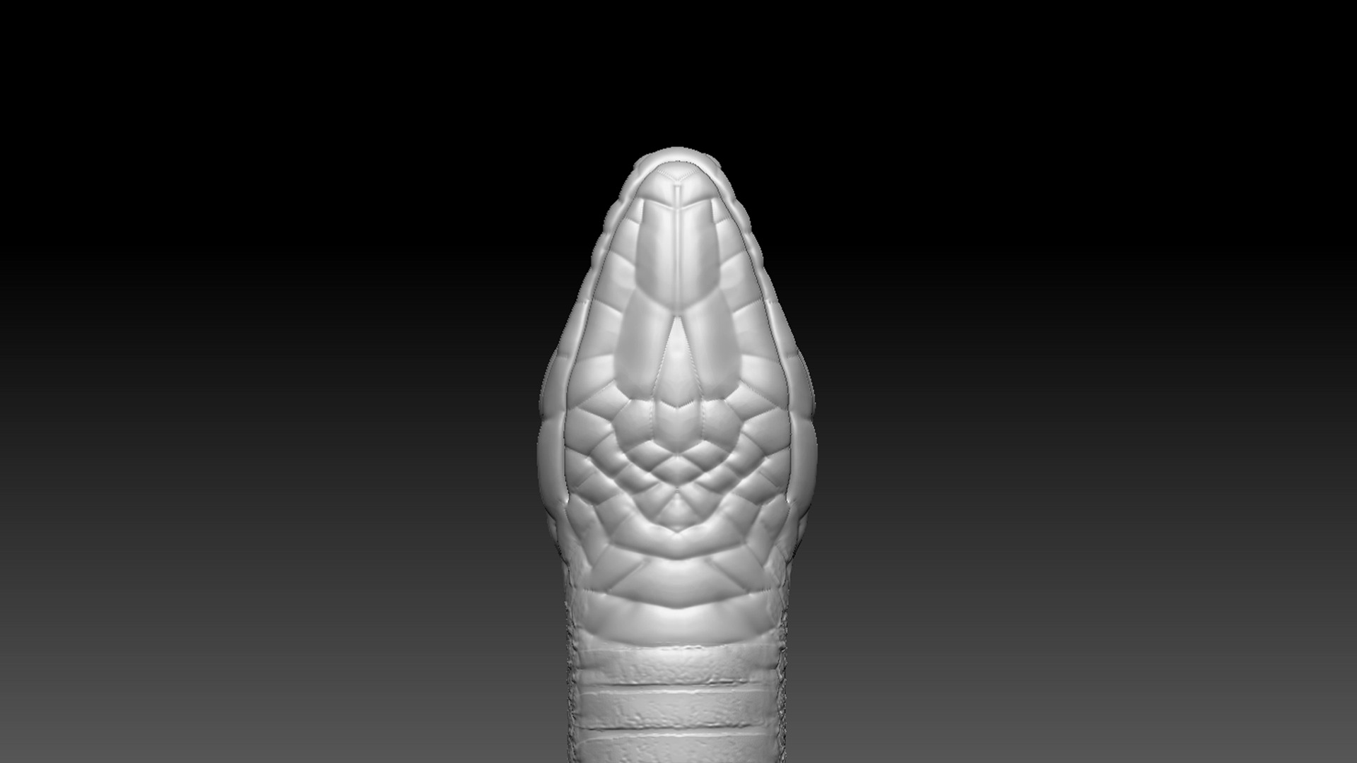 Cobra Zbrush Model 3D model_8