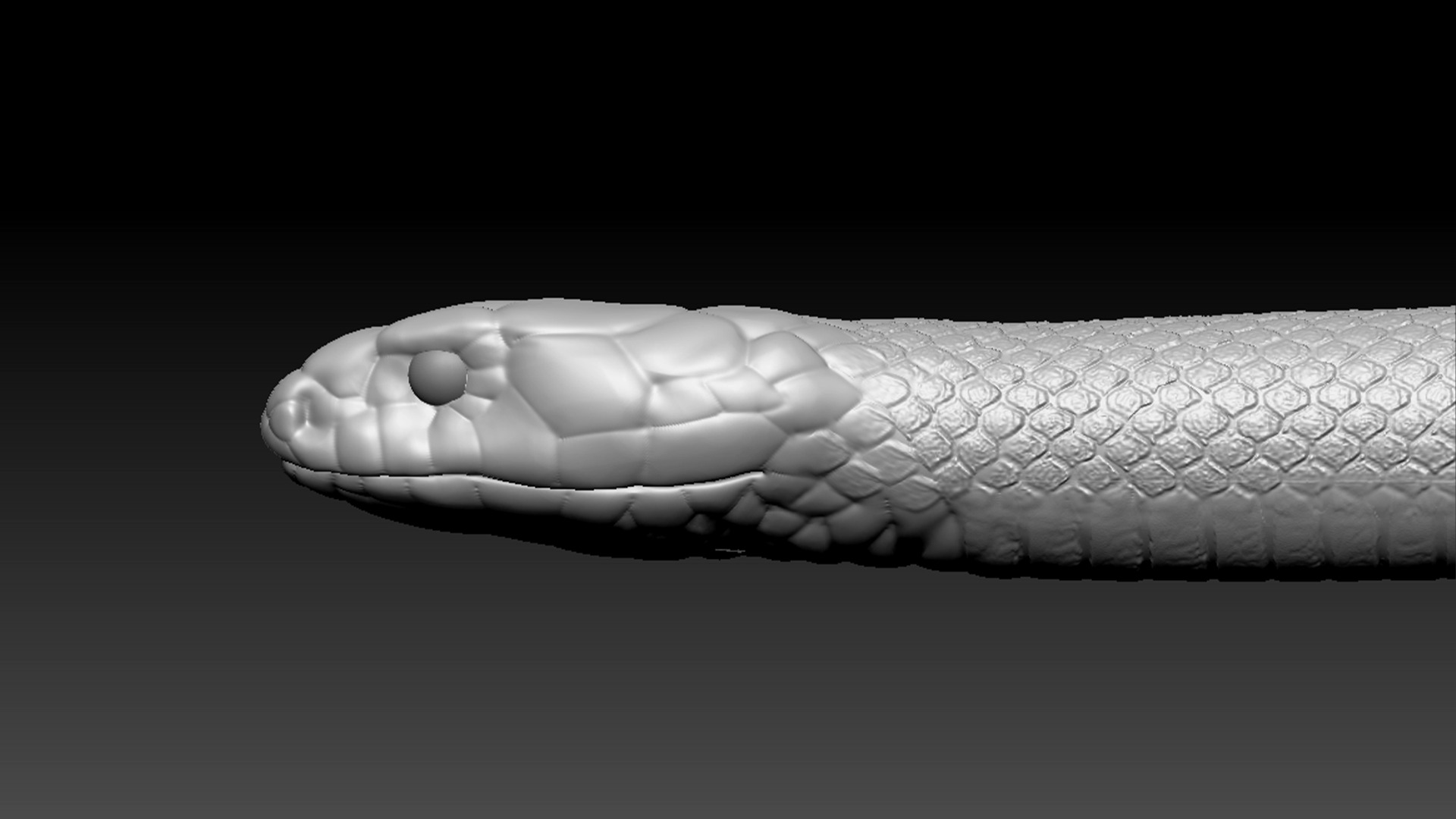 Cobra Zbrush Model 3D model_4