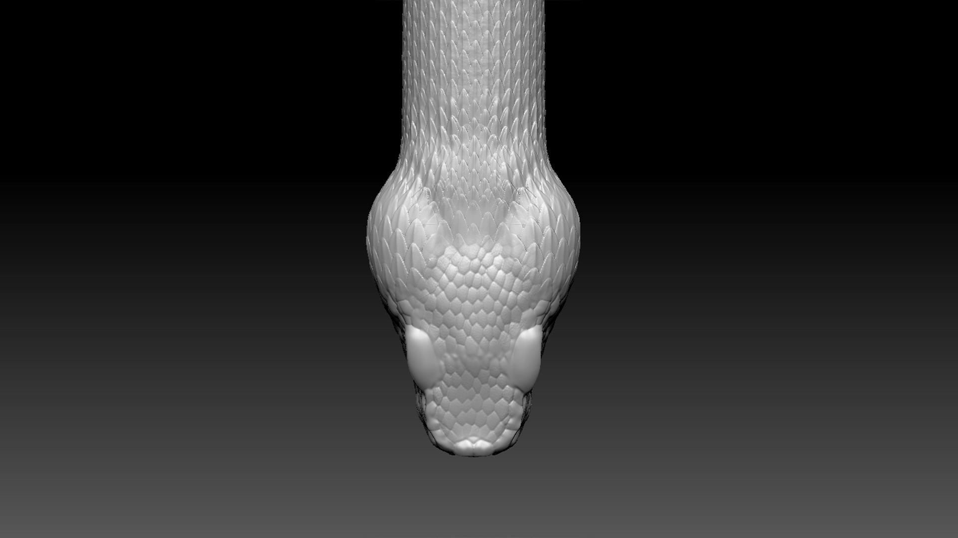 Asp Zbrush Model 3D model_5