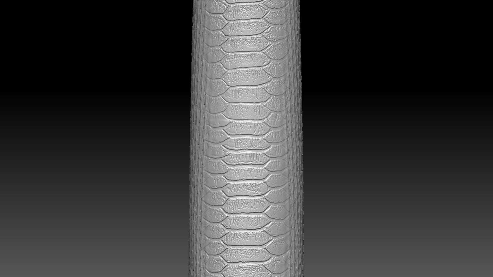 Asp Zbrush Model 3D model_8