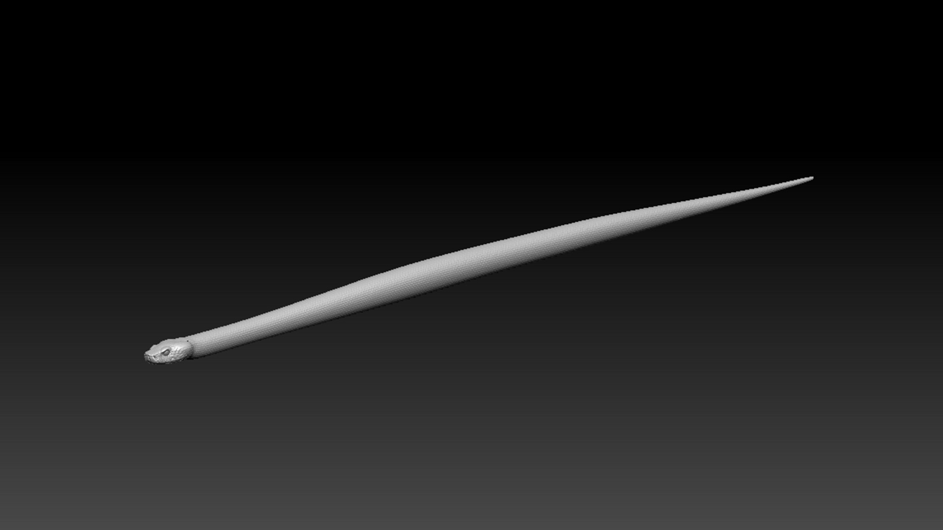 Asp Zbrush Model 3D model_2