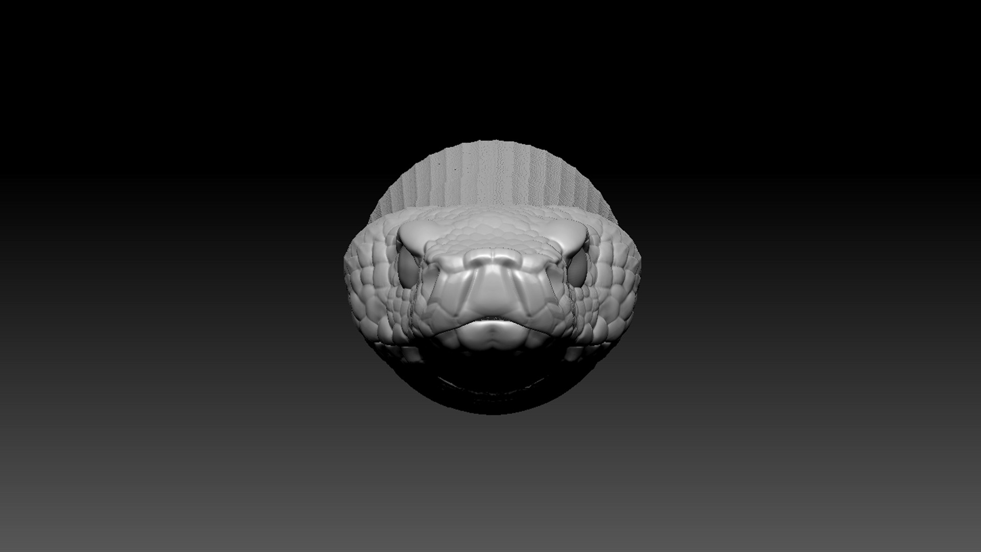 Asp Zbrush Model 3D model_3