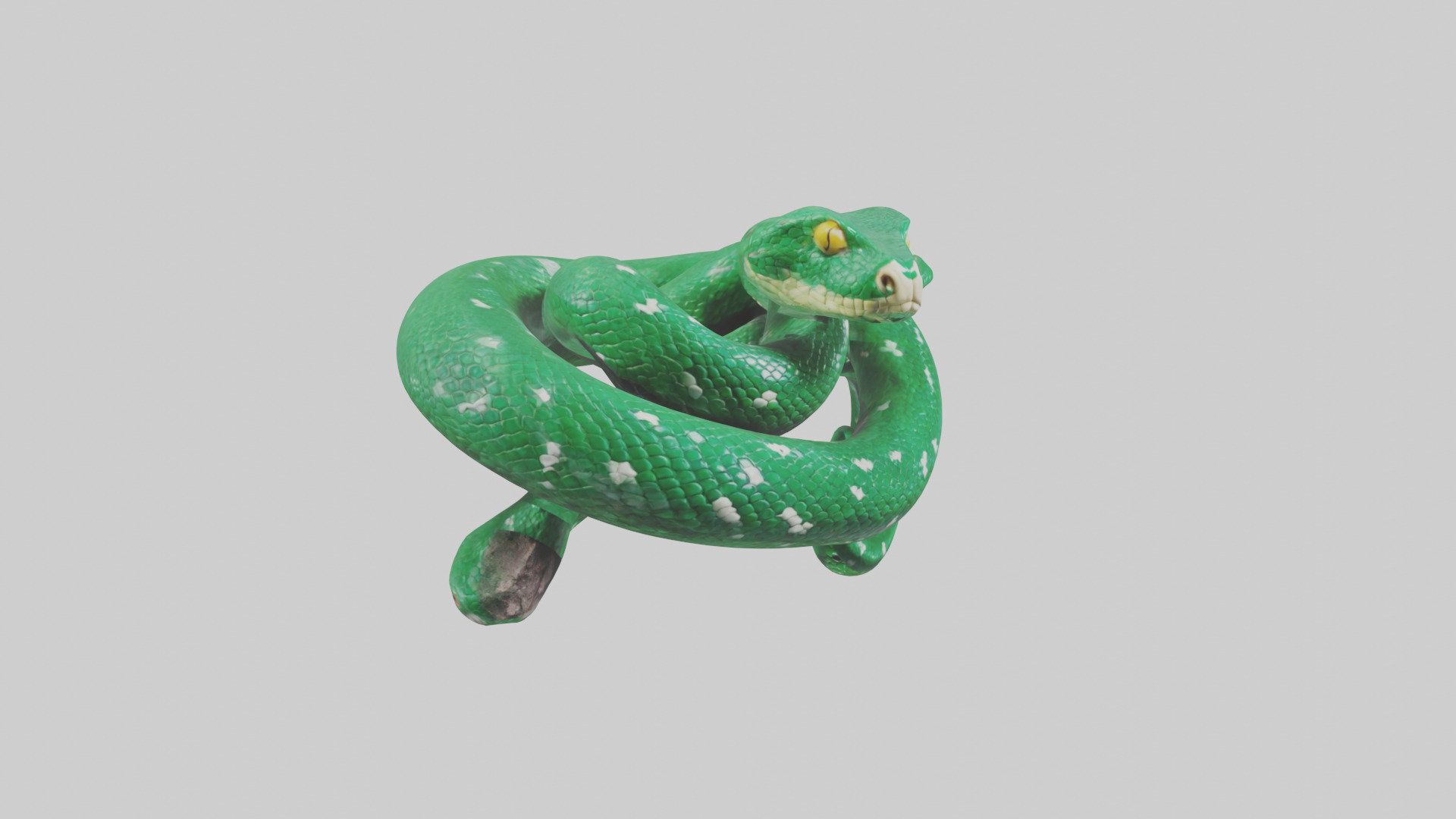 Emerald Tree Boa statue model Low-poly 3D model_7