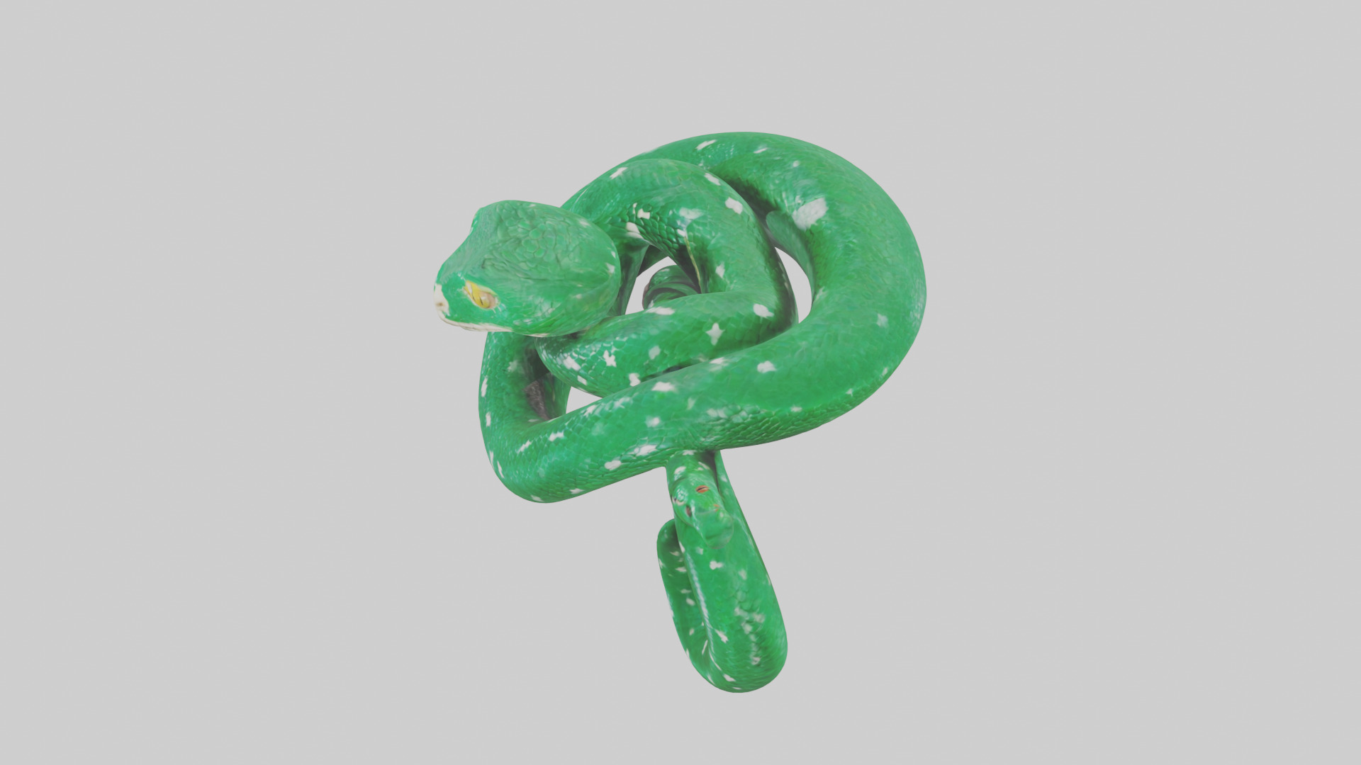 Emerald Tree Boa statue model Low-poly 3D model_17