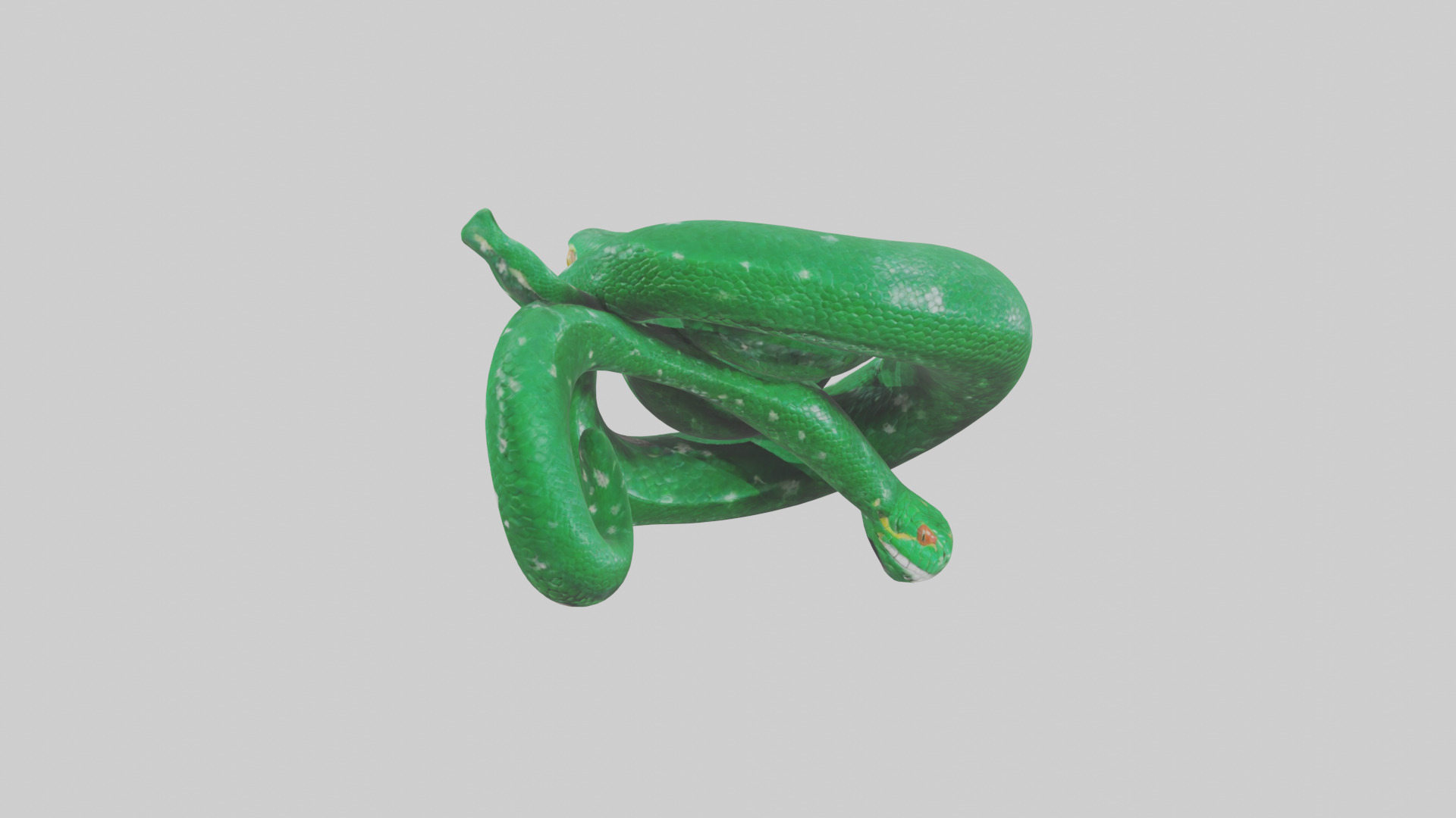 Emerald Tree Boa statue model Low-poly 3D model_1