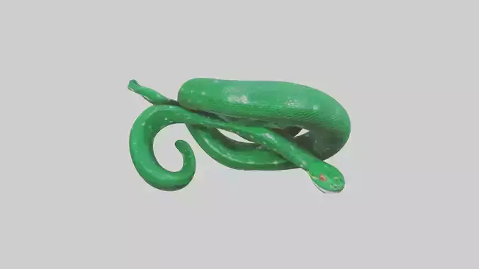 Emerald Tree Boa statue model