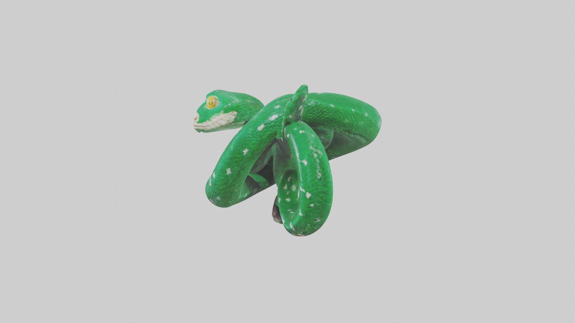 Emerald Tree Boa statue model Low-poly 3D model_12