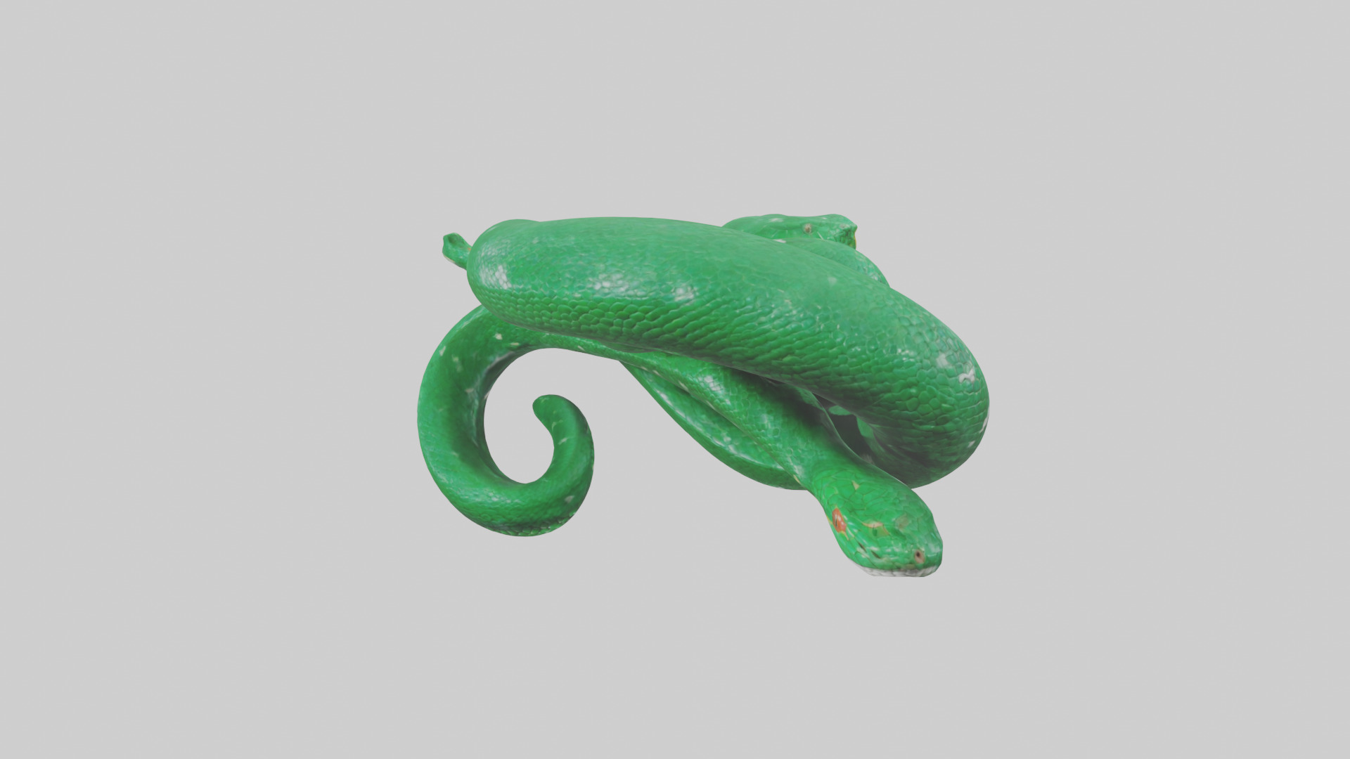 Emerald Tree Boa statue model Low-poly 3D model_2