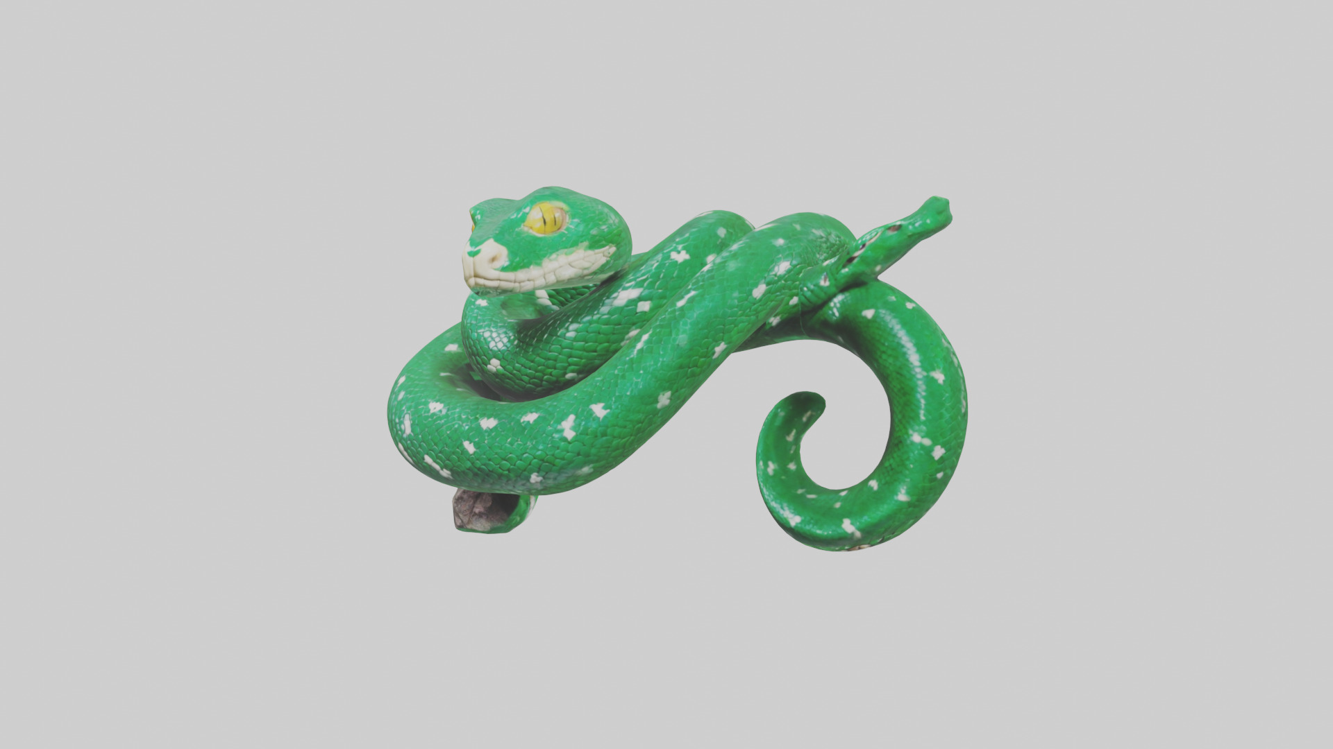 Emerald Tree Boa statue model Low-poly 3D model_8