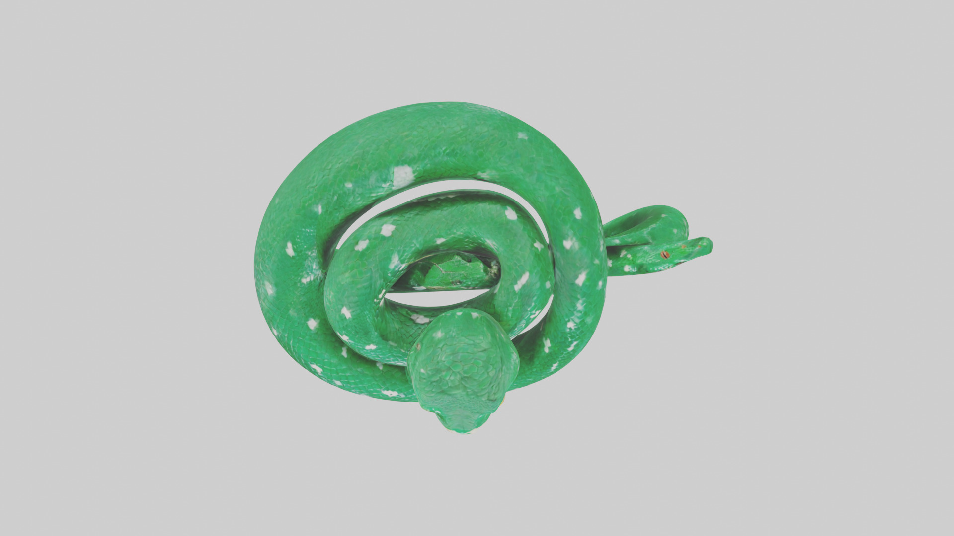 Emerald Tree Boa statue model Low-poly 3D model_14