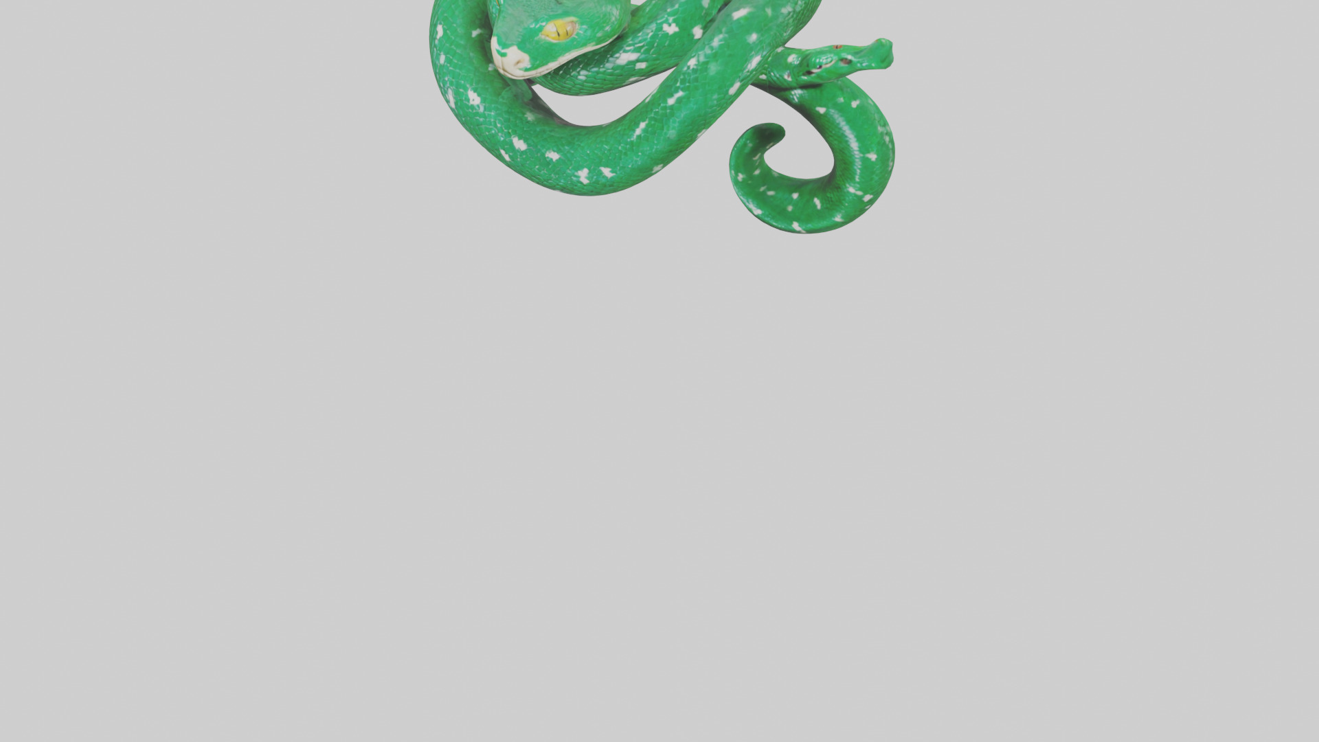 Emerald Tree Boa statue model Low-poly 3D model_5