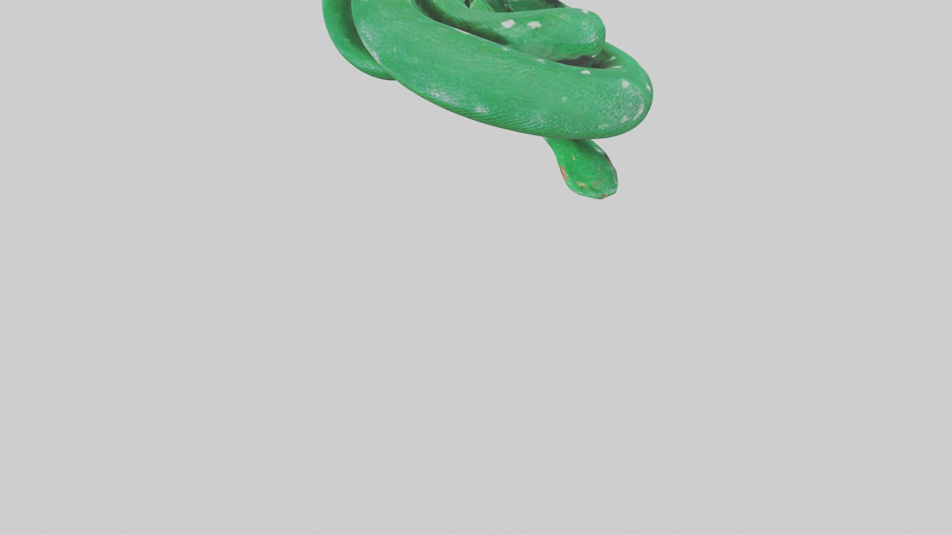 Emerald Tree Boa statue model Low-poly 3D model_4