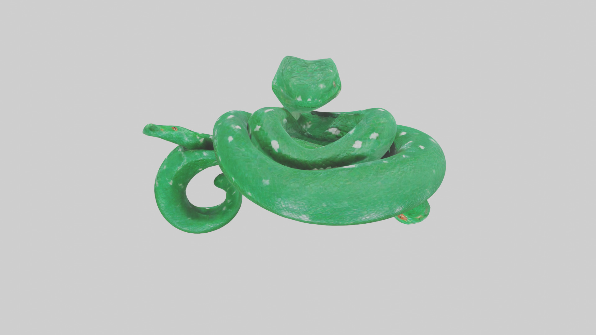 Emerald Tree Boa statue model Low-poly 3D model_15