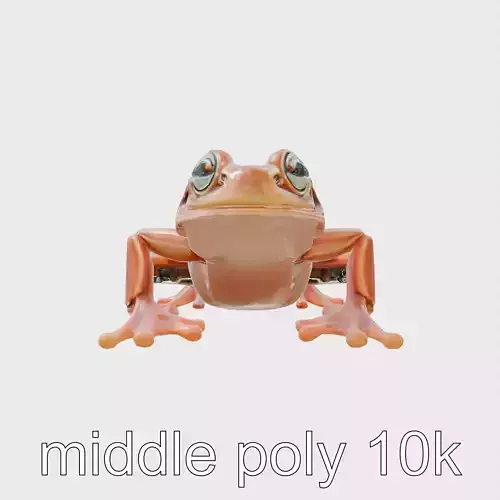 Bionic Frog Model with Infrared Sensors