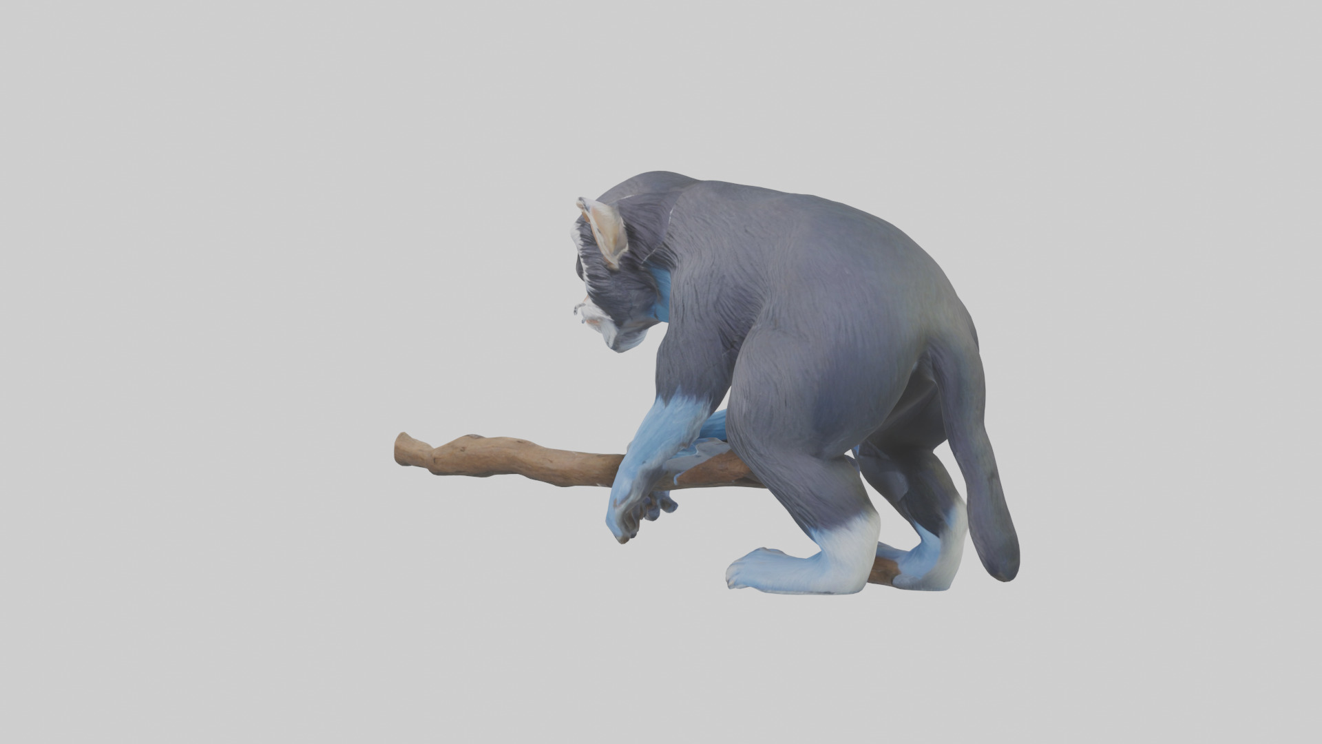 Emperor Tamarin perched model 2 Low-poly 3D model_22