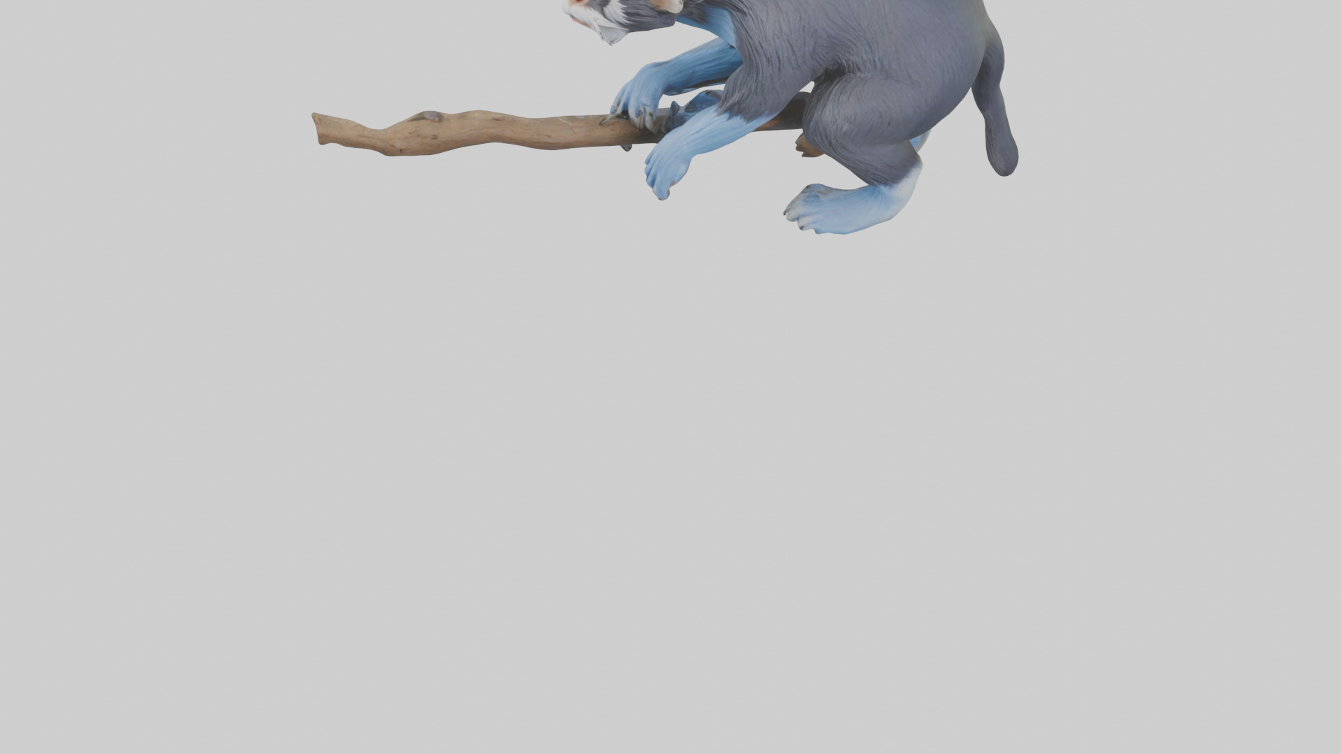 Emperor Tamarin perched model 2 Low-poly 3D model_15