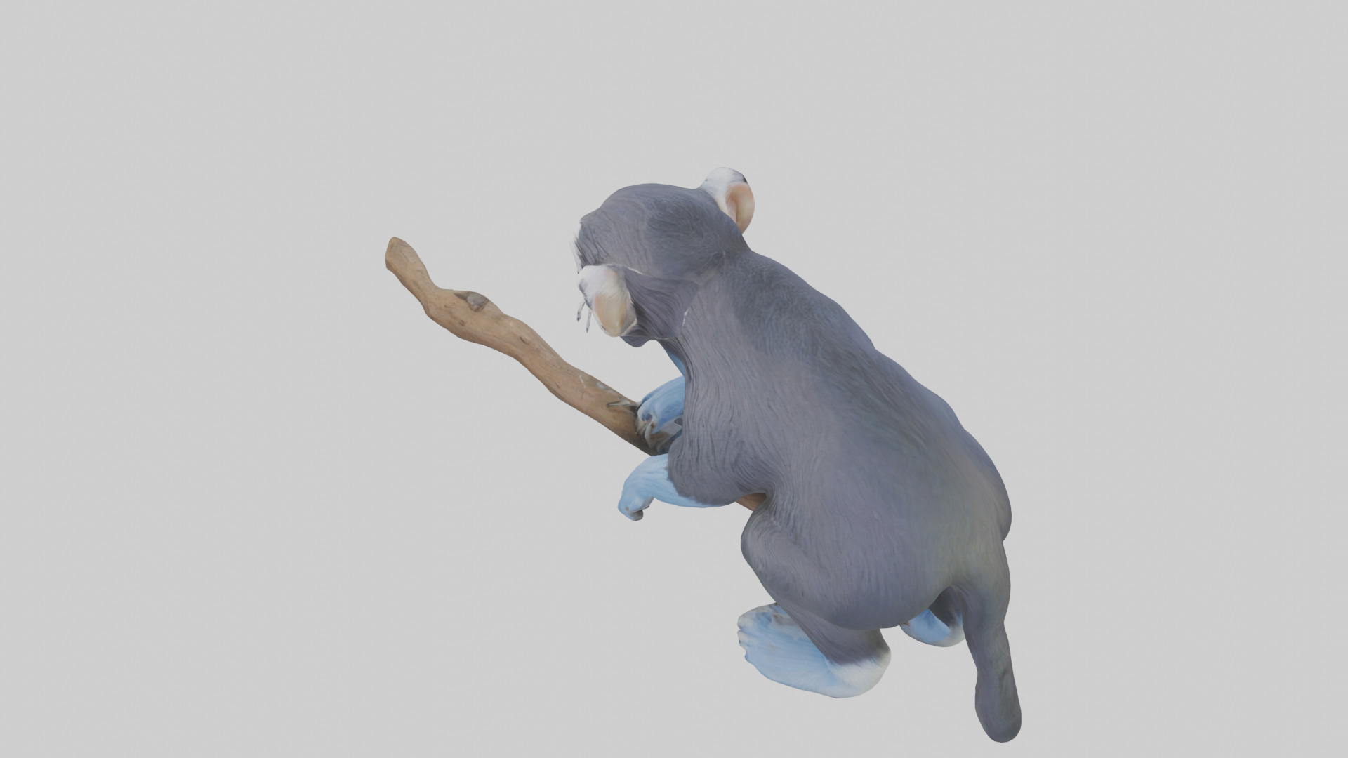 Emperor Tamarin perched model 2 Low-poly 3D model_27