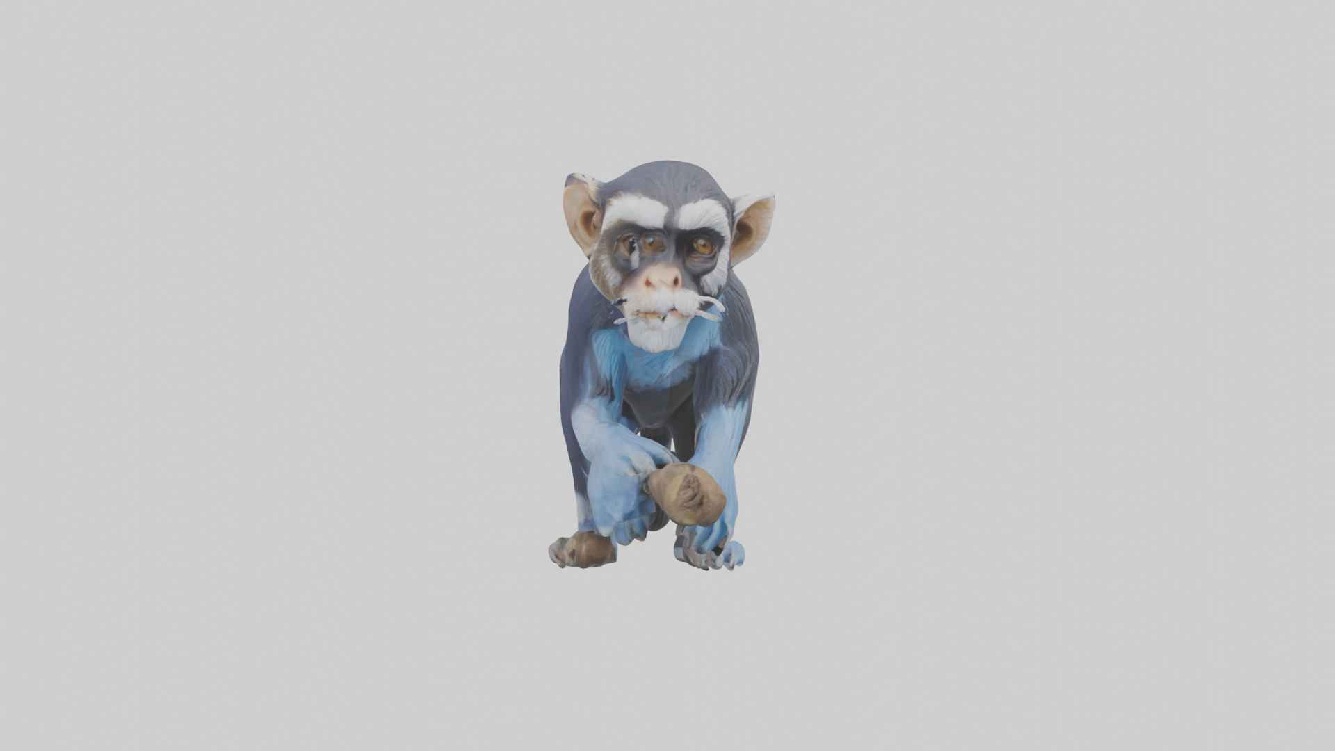 Emperor Tamarin perched model 2 Low-poly 3D model_21