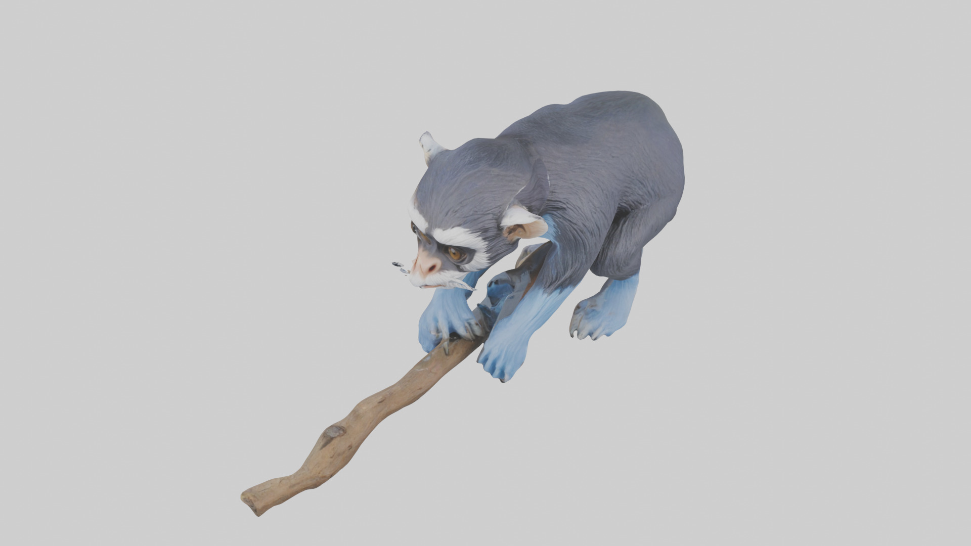 Emperor Tamarin perched model 2 Low-poly 3D model_26