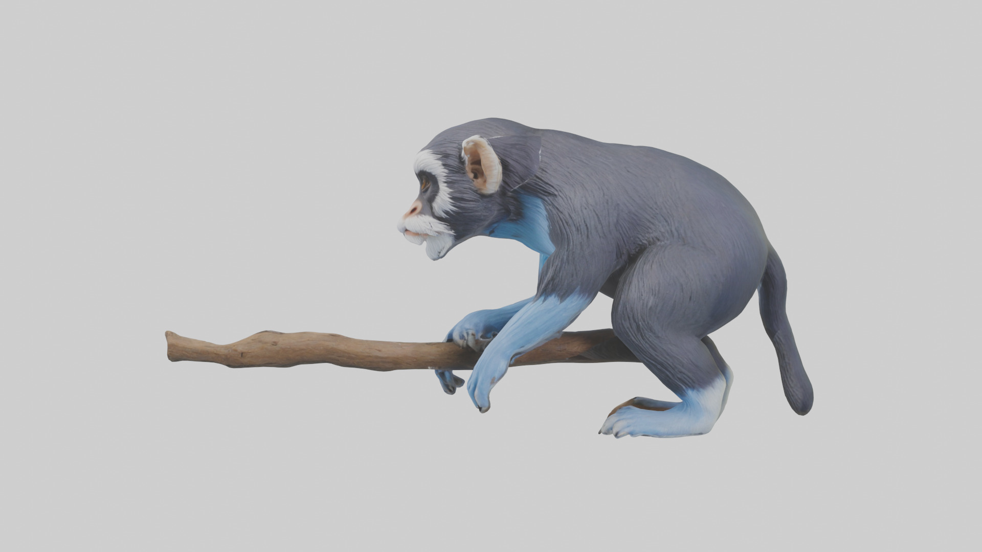 Emperor Tamarin perched model 2 Low-poly 3D model_18