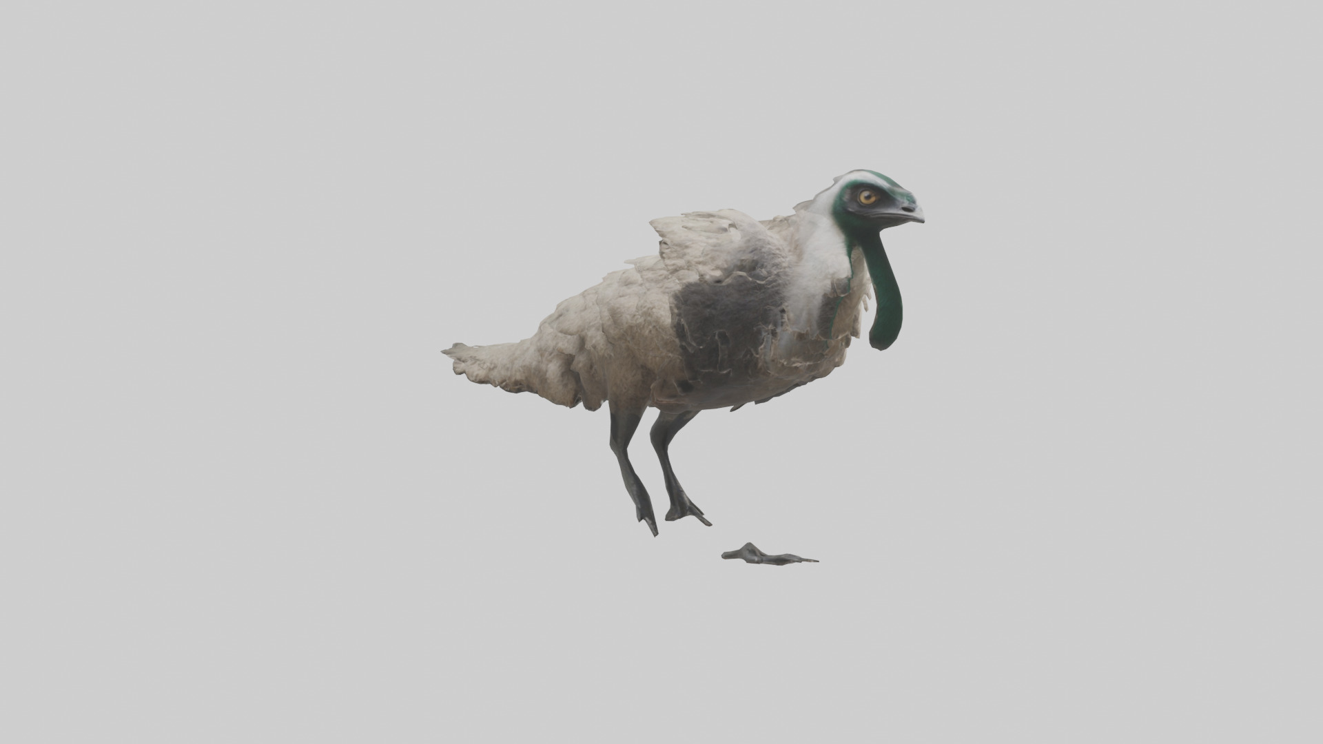 Emu running model Low-poly 3D model_7